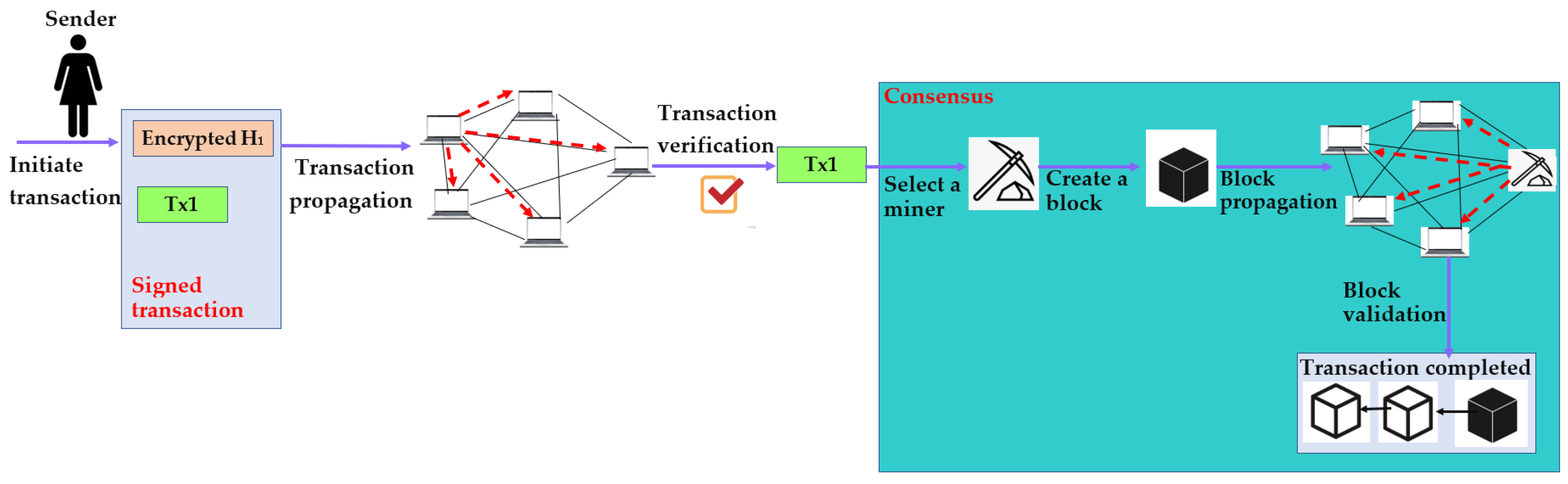 Network 03 00017 g005