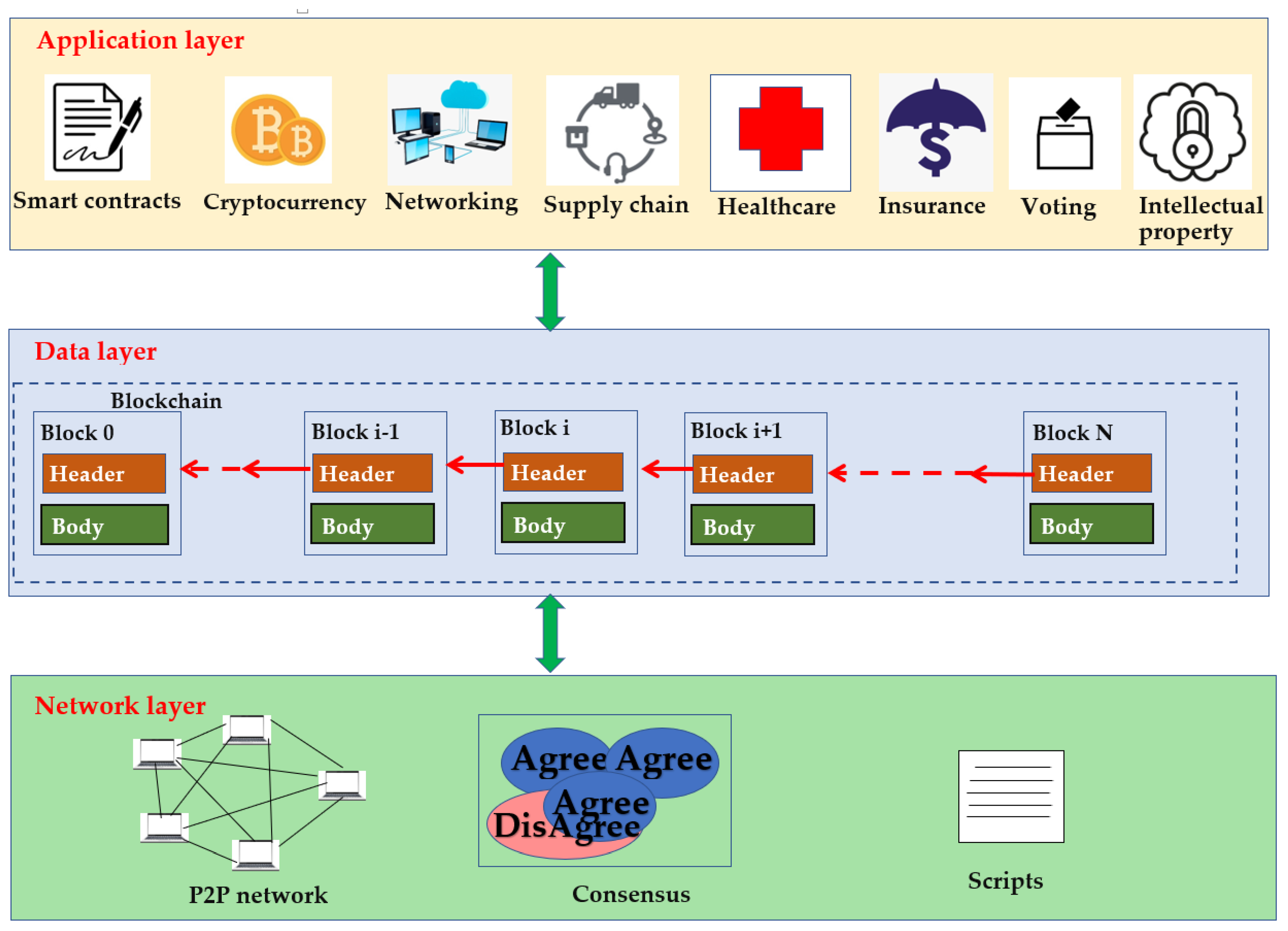 Network 03 00017 g006