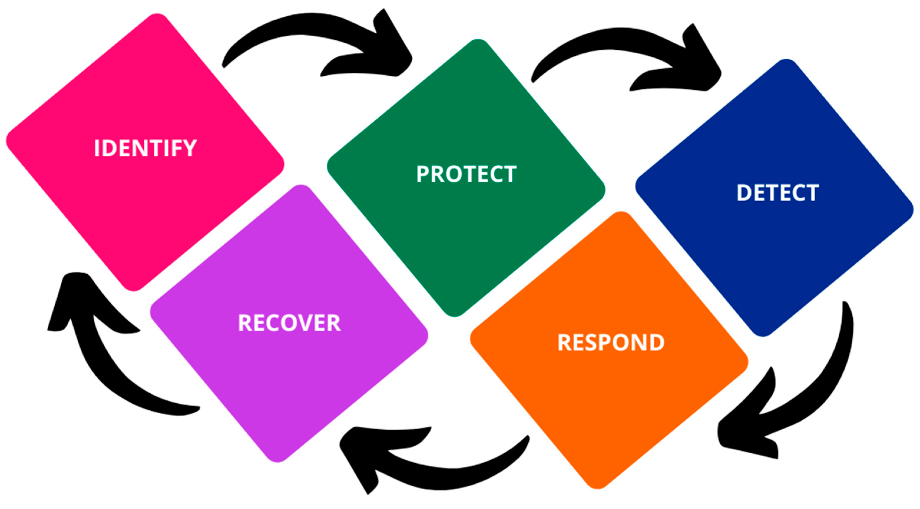 Network 03 00018 g003