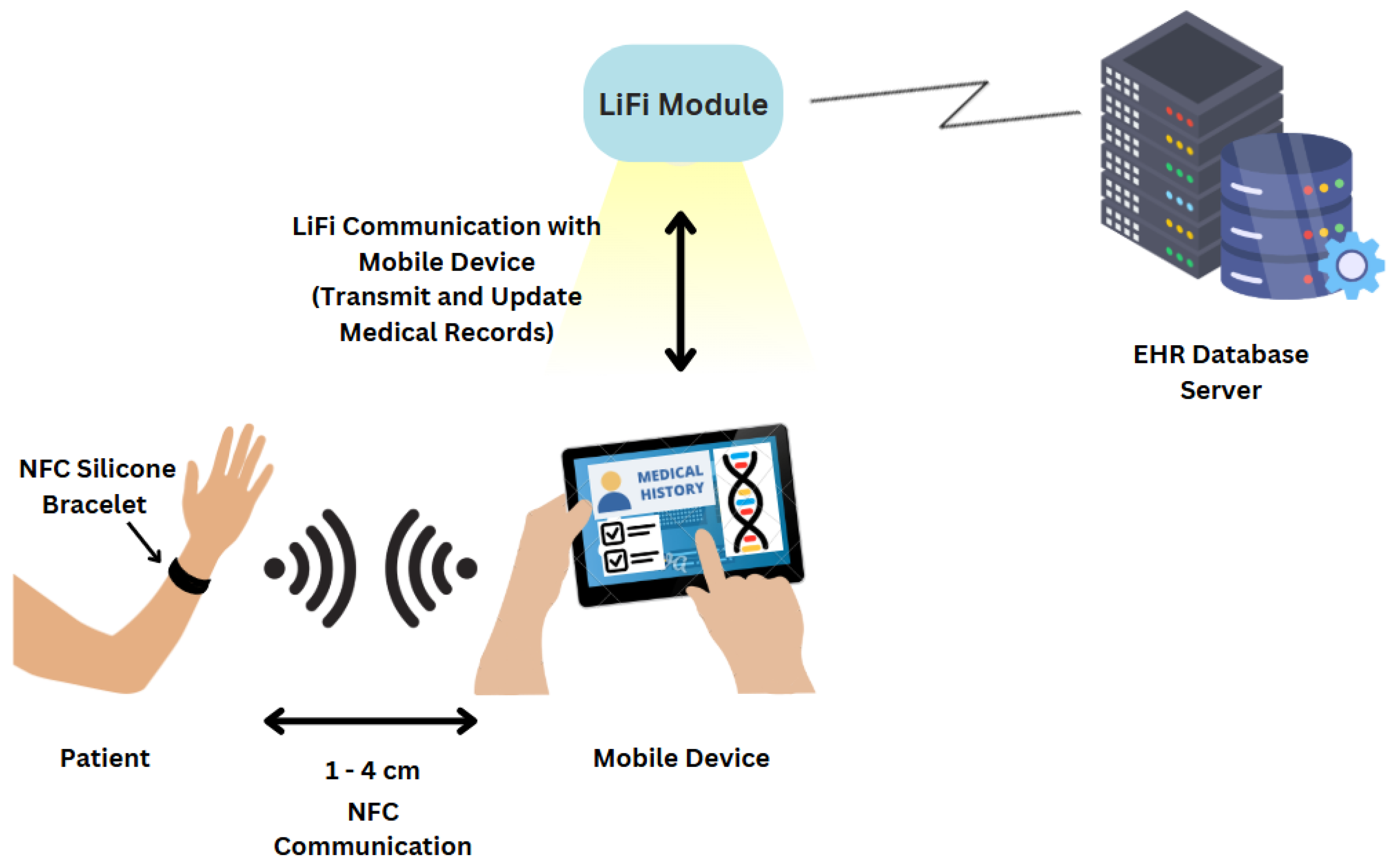 Network 05 00037 g002