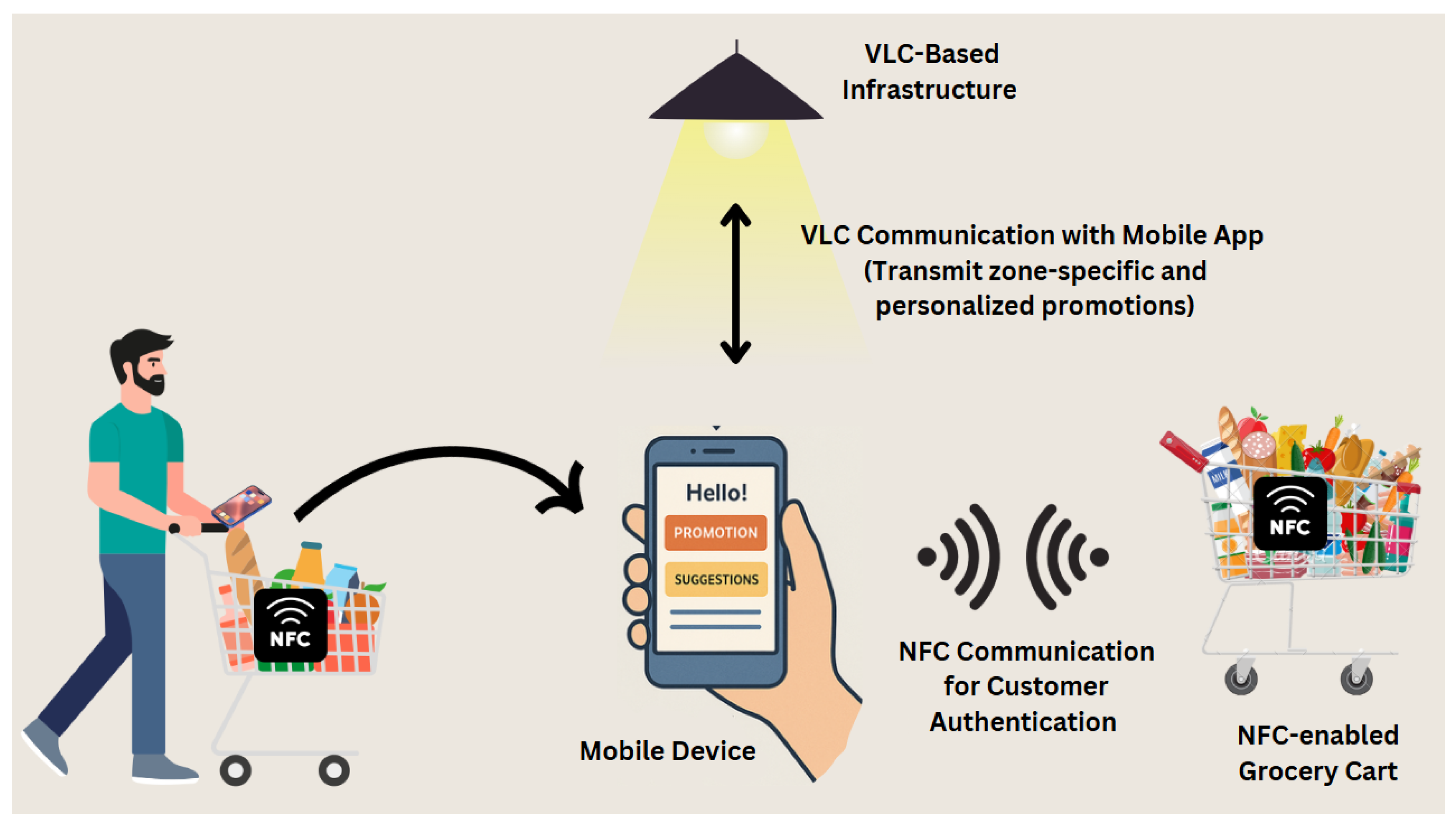Network 05 00037 g003