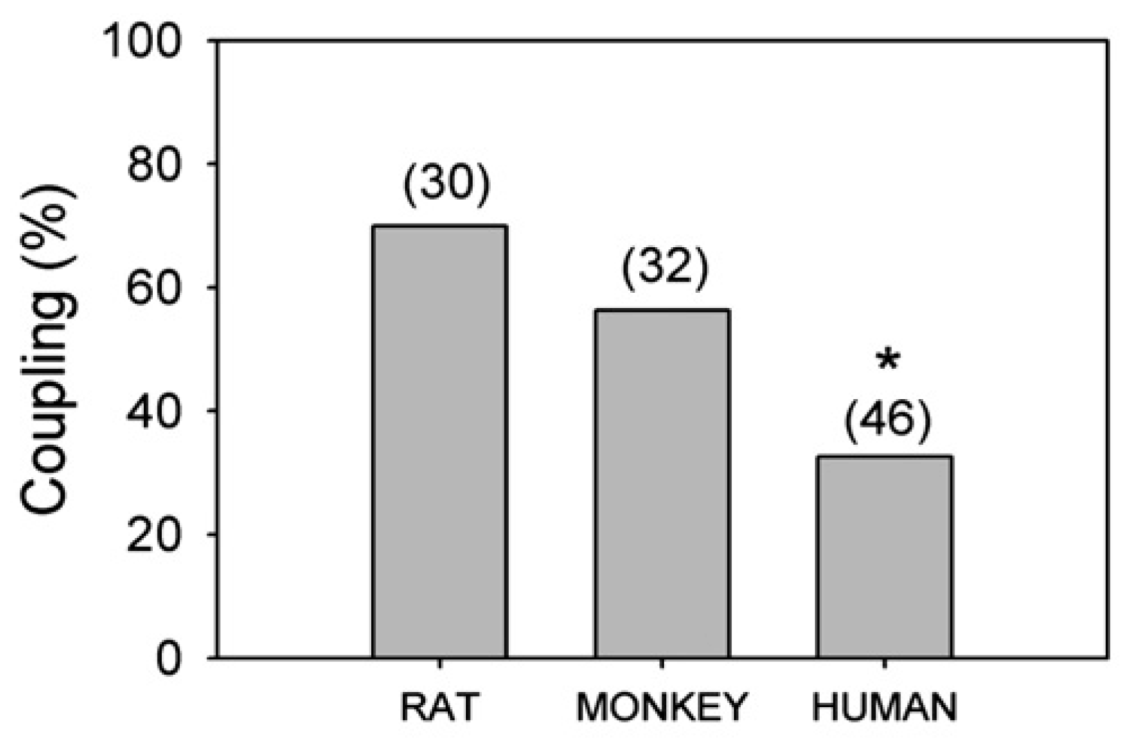Neuroglia 01 00003 g008