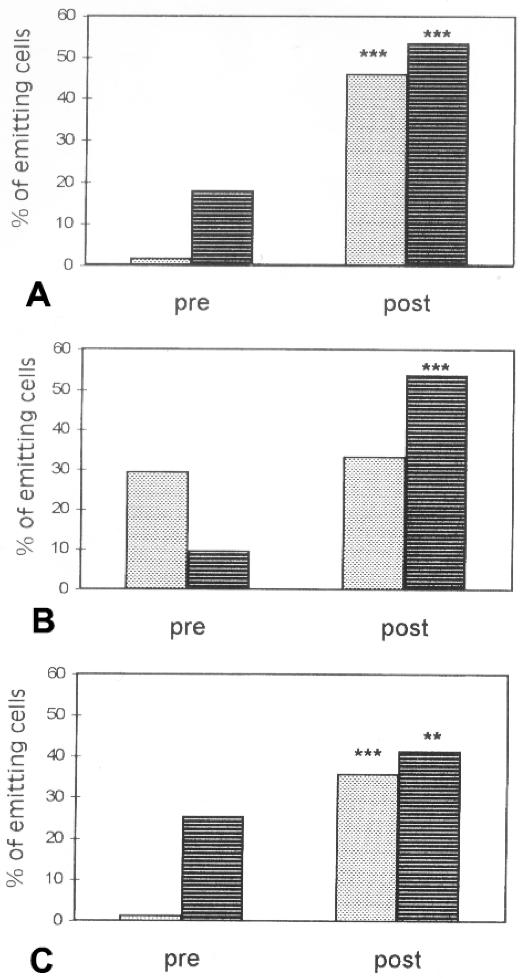 Neuroglia 01 00003 g010