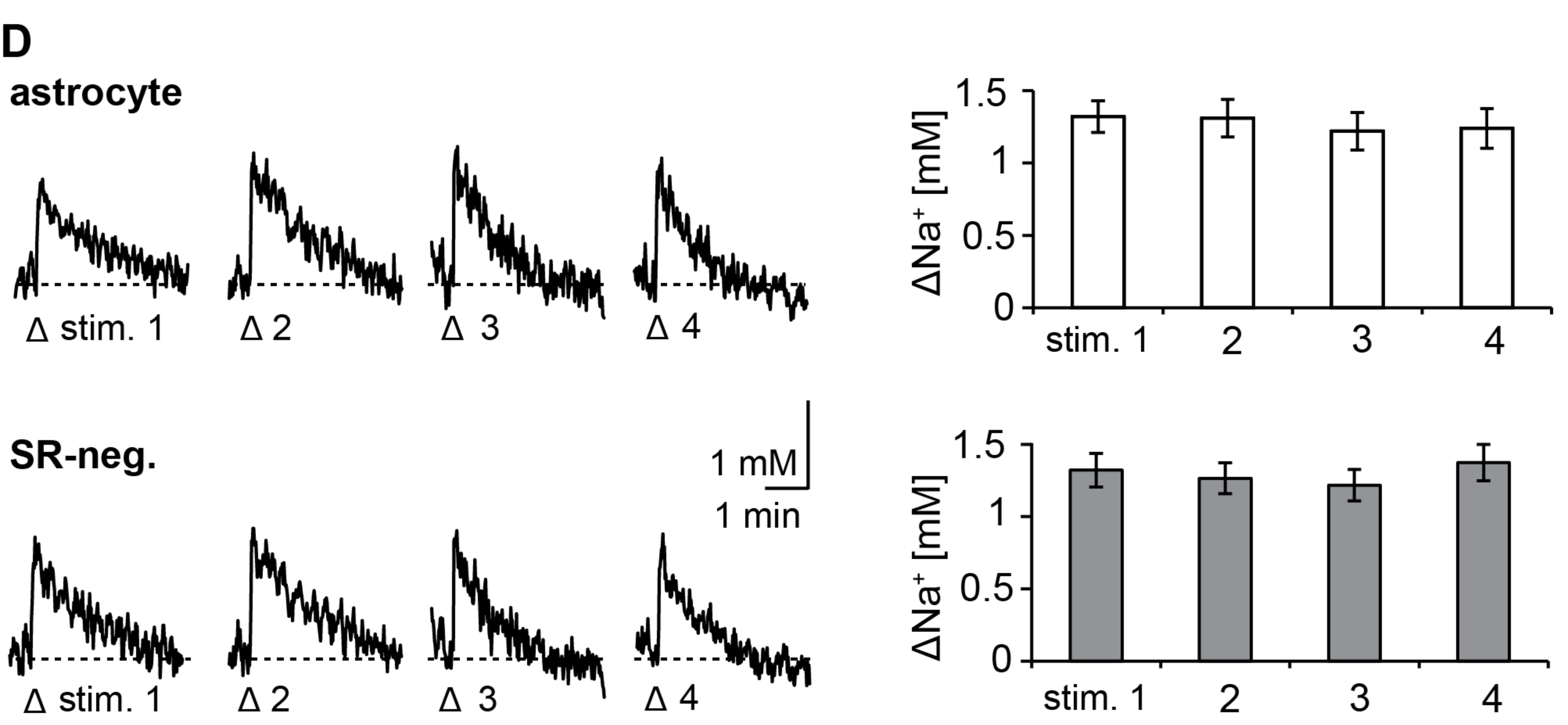 Neuroglia 01 00009 g001b Neuroglia 01 00009 g001b