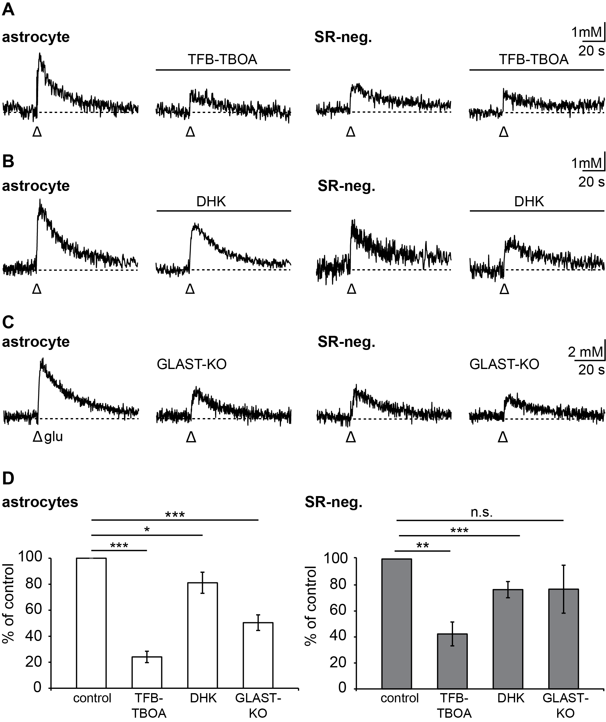 Neuroglia 01 00009 g005 Neuroglia 01 00009 g005