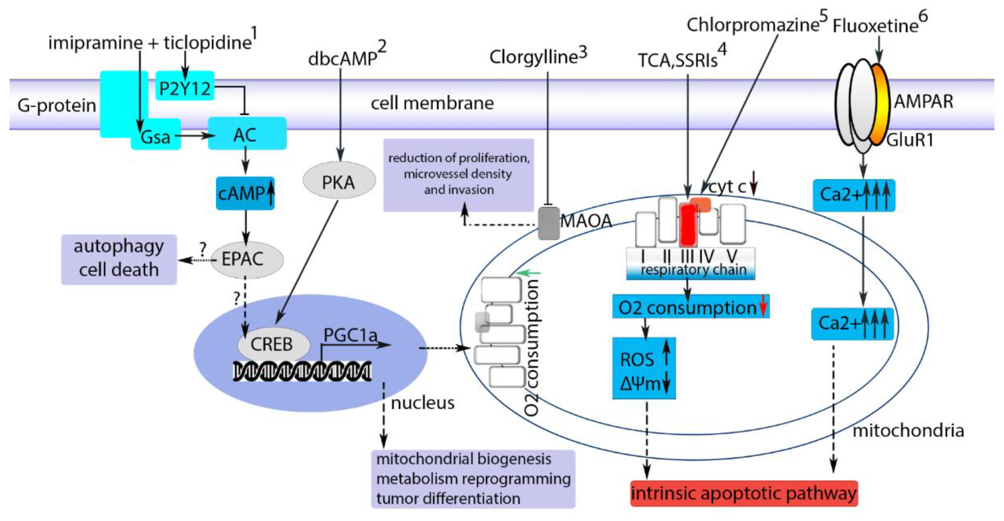 Neuroglia Free FullText In Search of a Breakthrough Therapy for