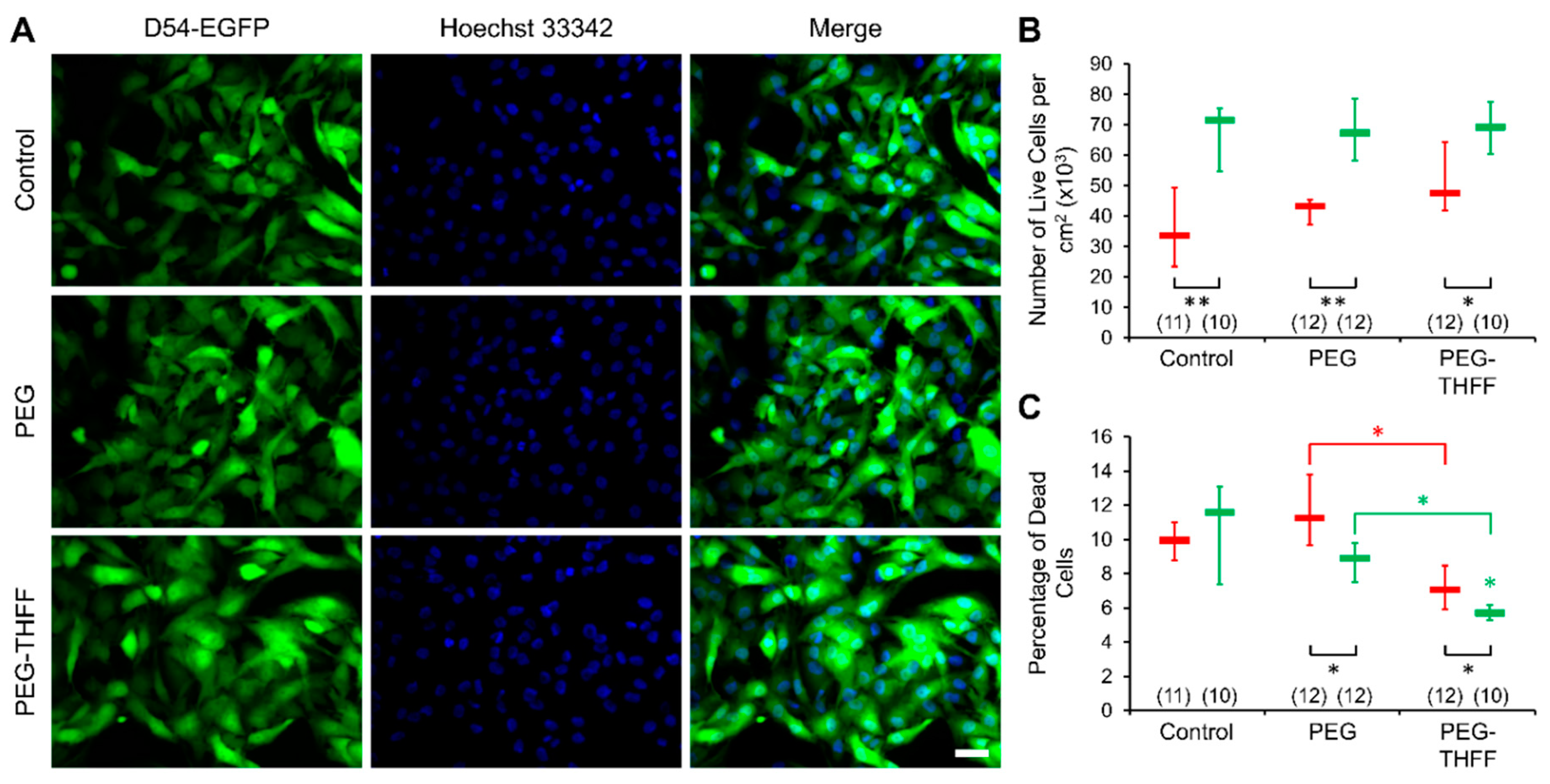 Neuroglia 01 00022 g004 Neuroglia 01 00022 g004