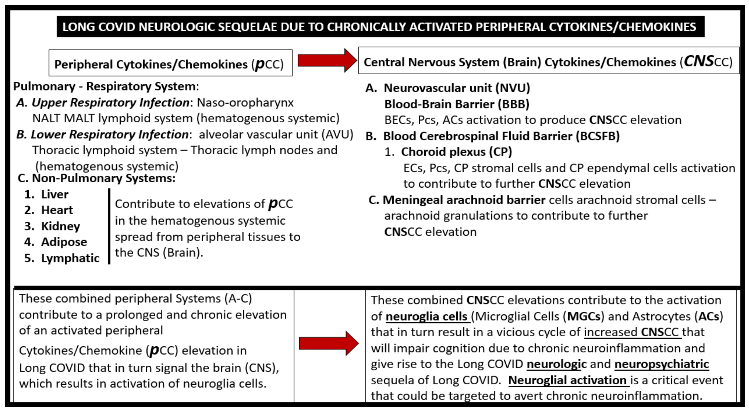 Neuroglia 02 00004 g003 550