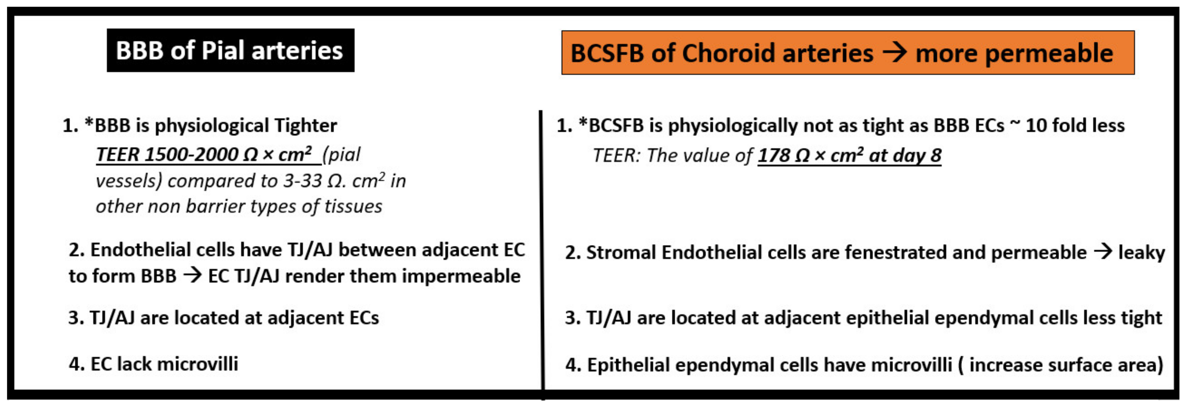 Neuroglia 02 00004 g009 550