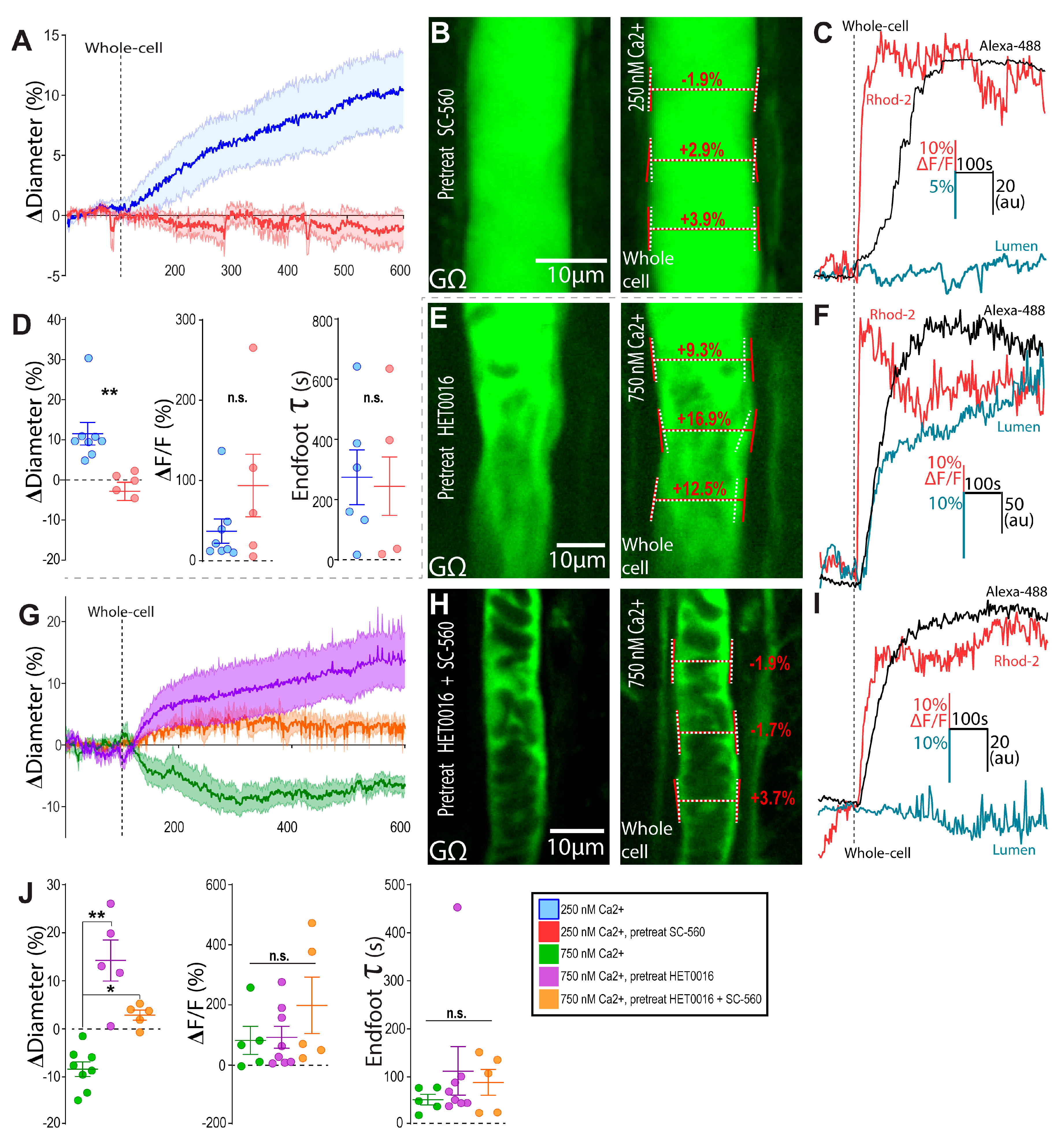 Neuroglia 02 00006 g002 550