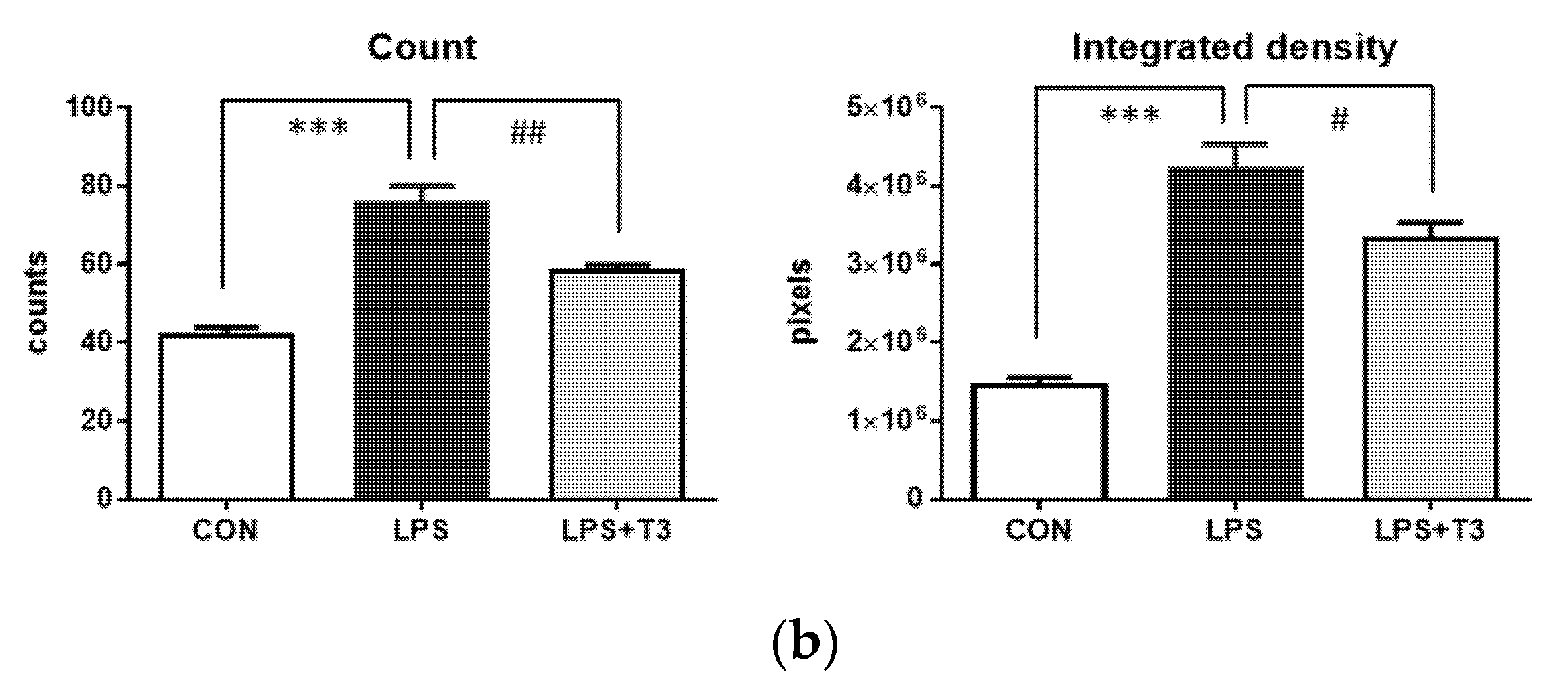 Neuroglia 02 00009 g002b 550