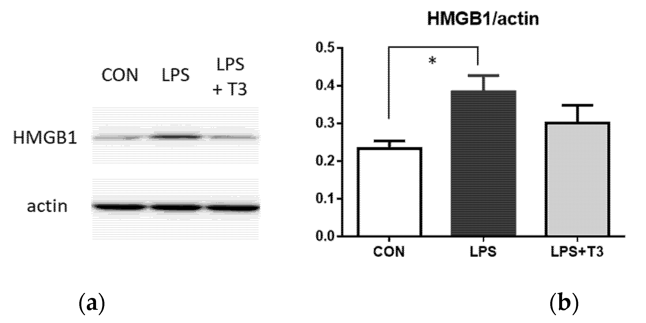 Neuroglia 02 00009 g003 550