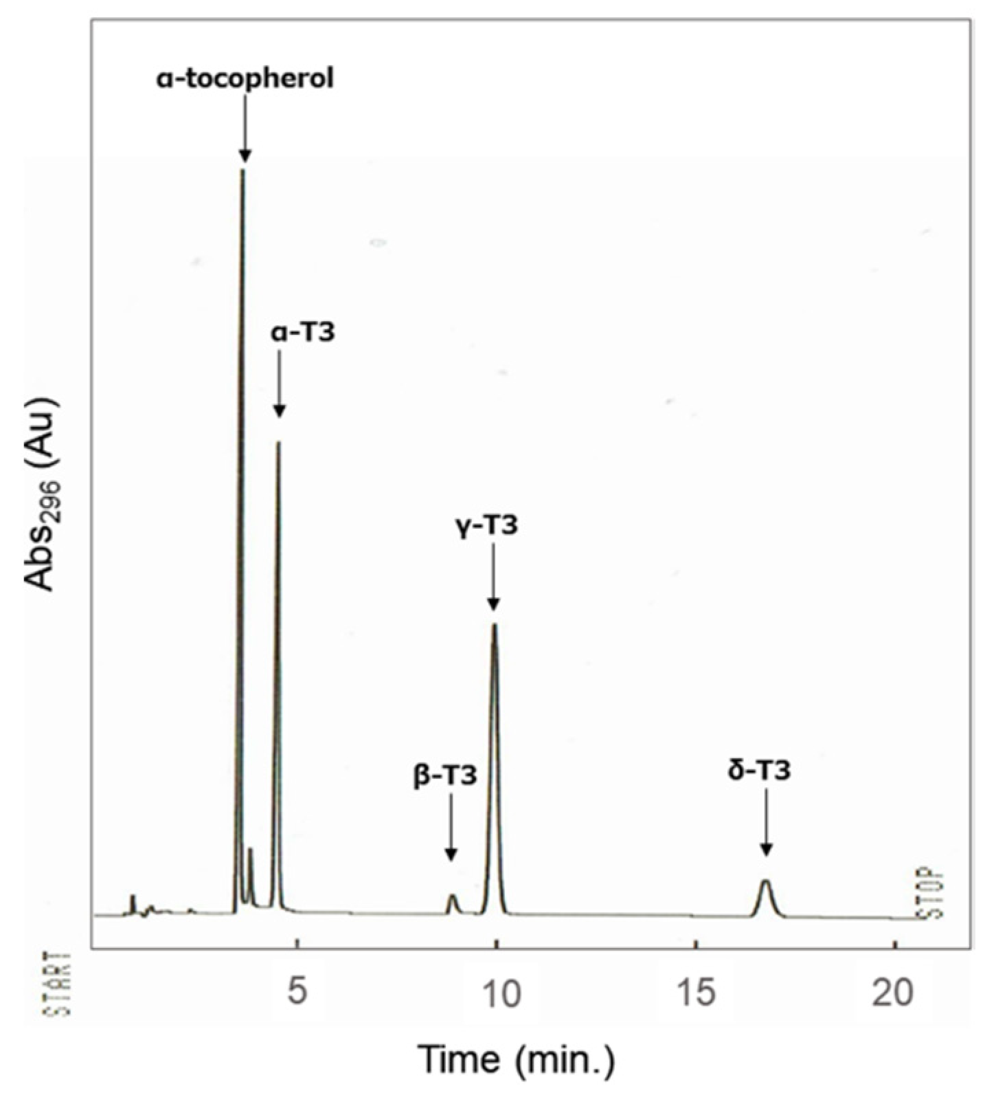 Neuroglia 02 00009 g005 550