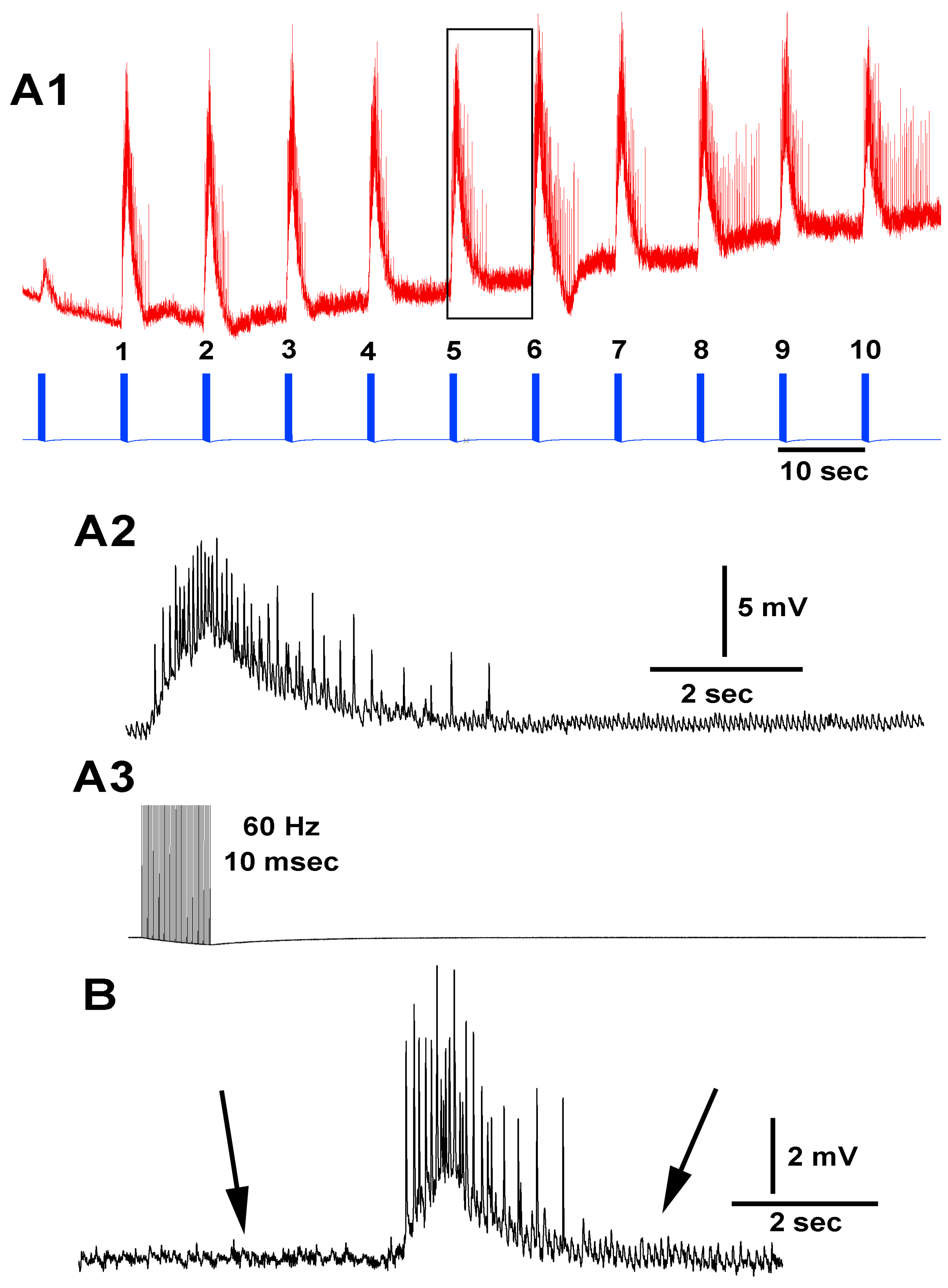 Neuroglia 03 00002 g002 Neuroglia 03 00002 g002