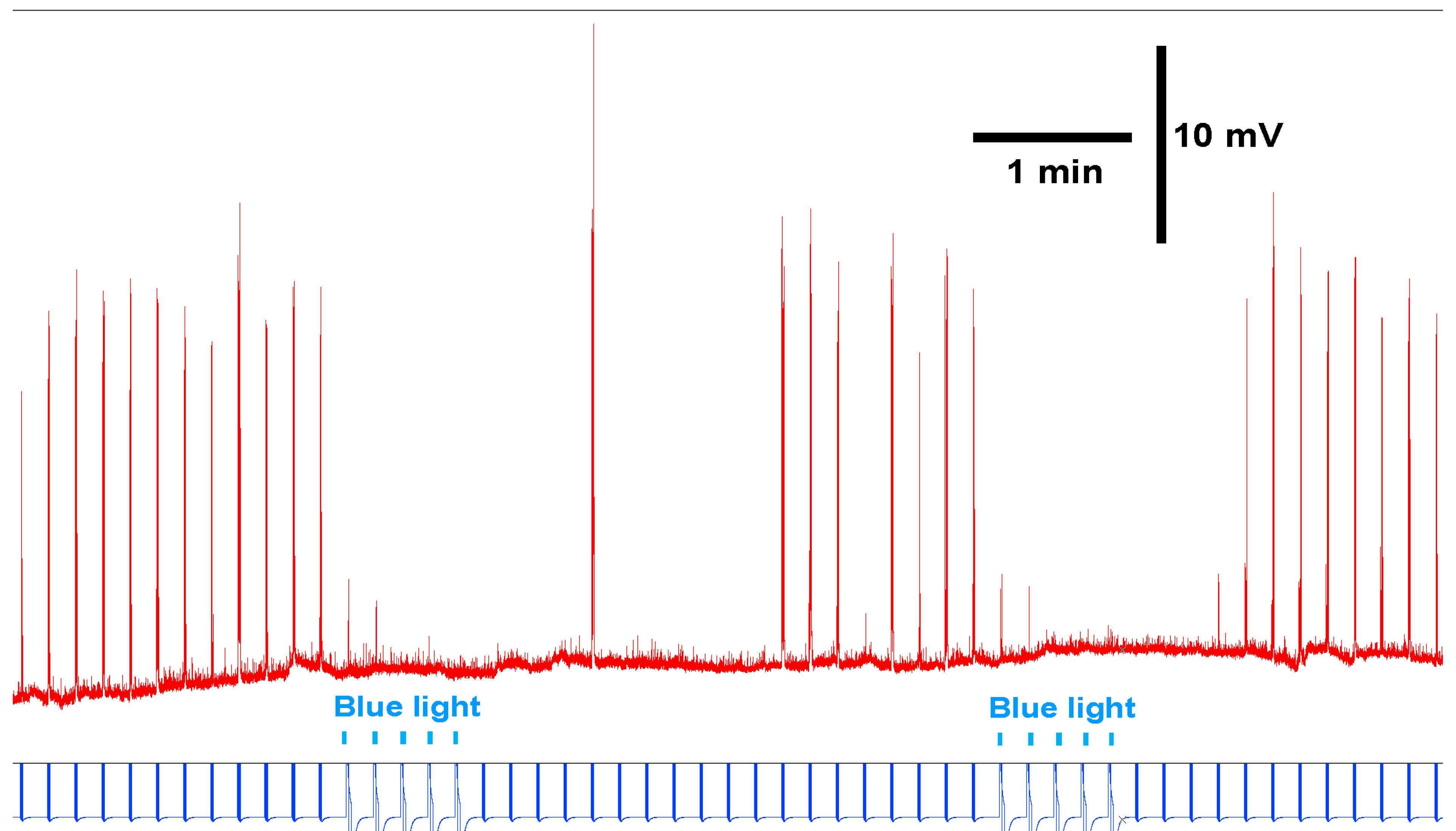 Neuroglia 03 00002 g005 Neuroglia 03 00002 g005