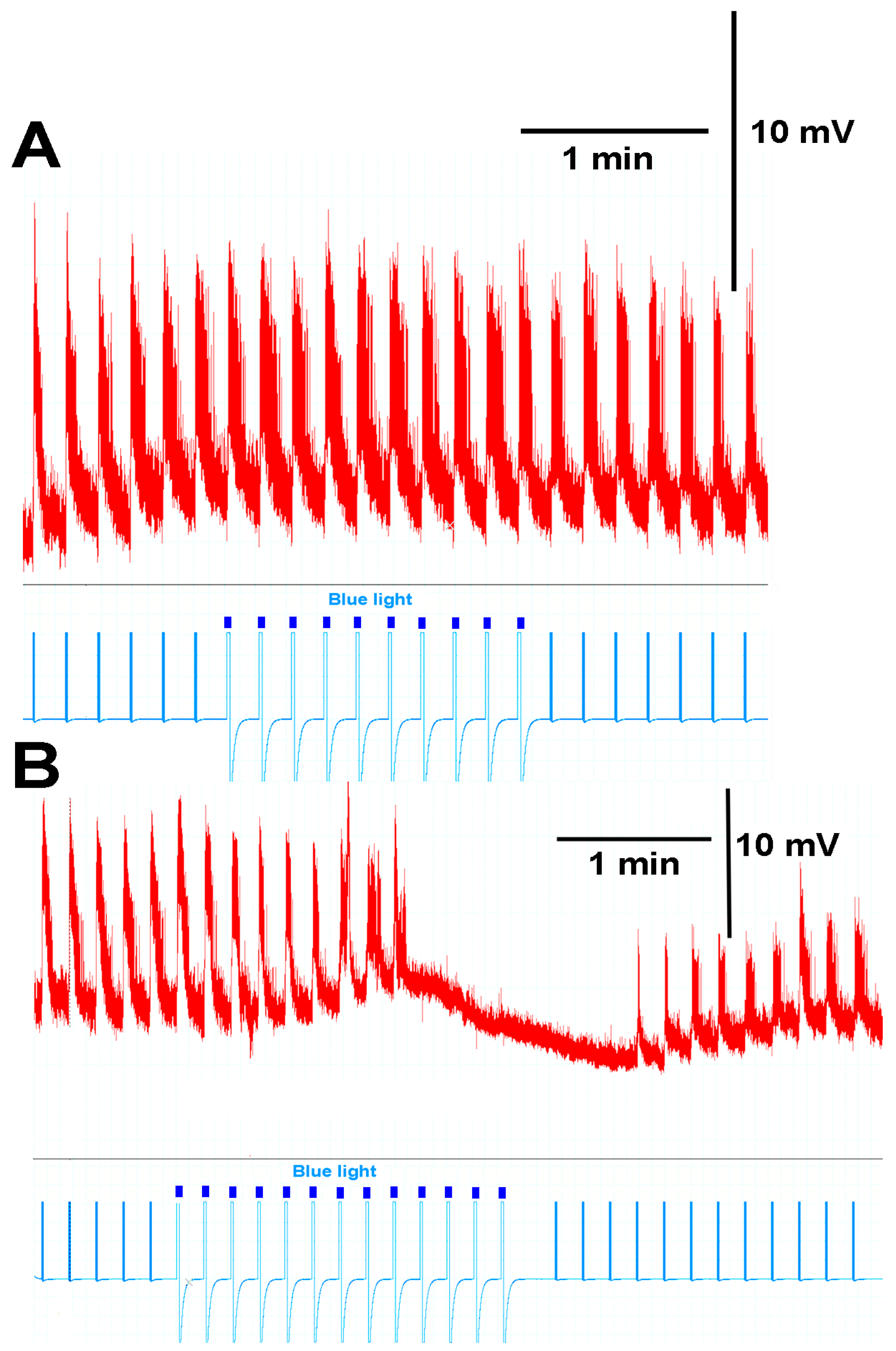 Neuroglia 03 00002 g006 Neuroglia 03 00002 g006