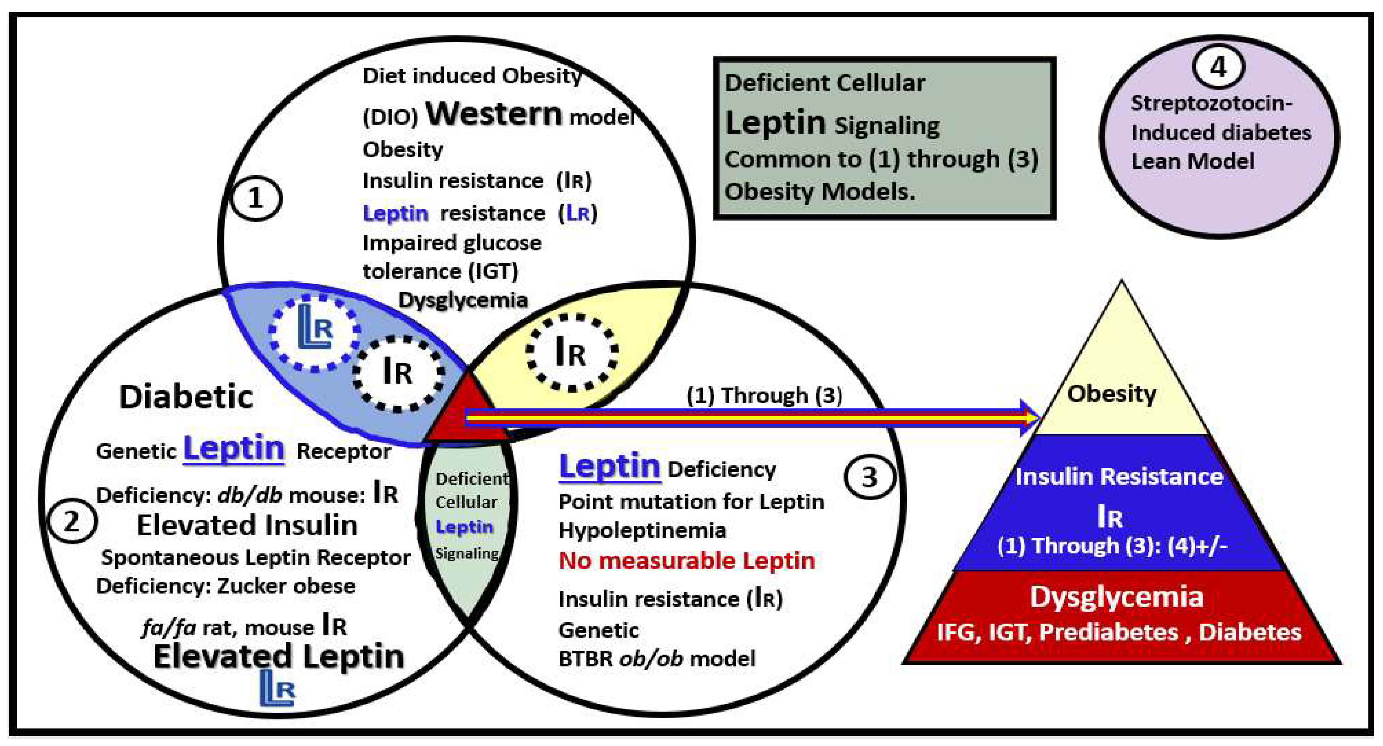Neuroglia 03 00008 g002 Neuroglia 03 00008 g002