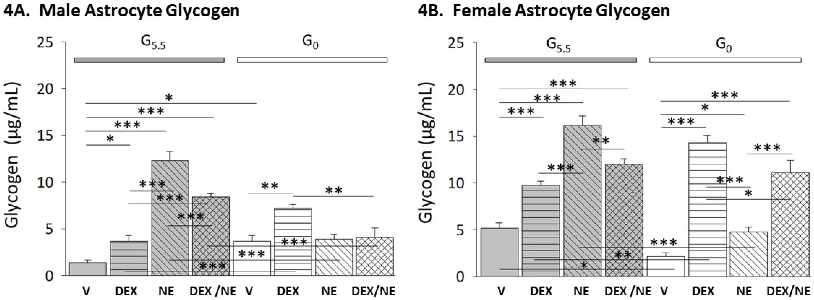 Neuroglia 03 00010 g004 Neuroglia 03 00010 g004