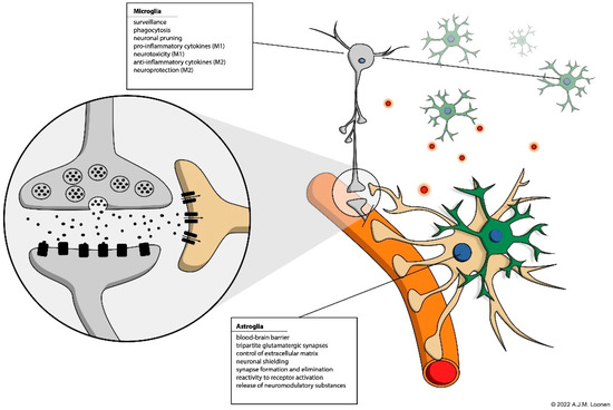 Neuromodulation and the toolkit for behavioural evolution