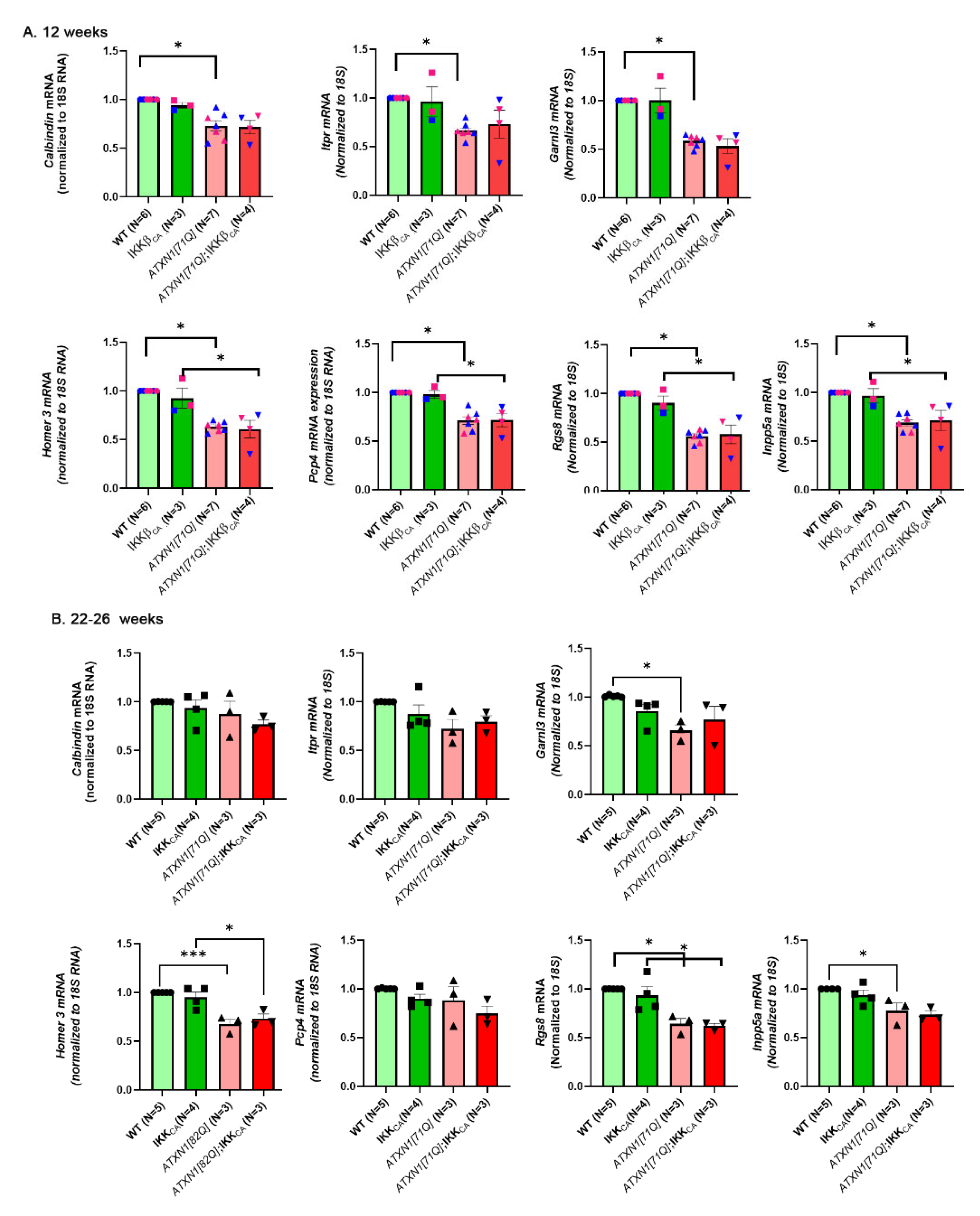 Neuroglia 04 00005 g006 Neuroglia 04 00005 g006