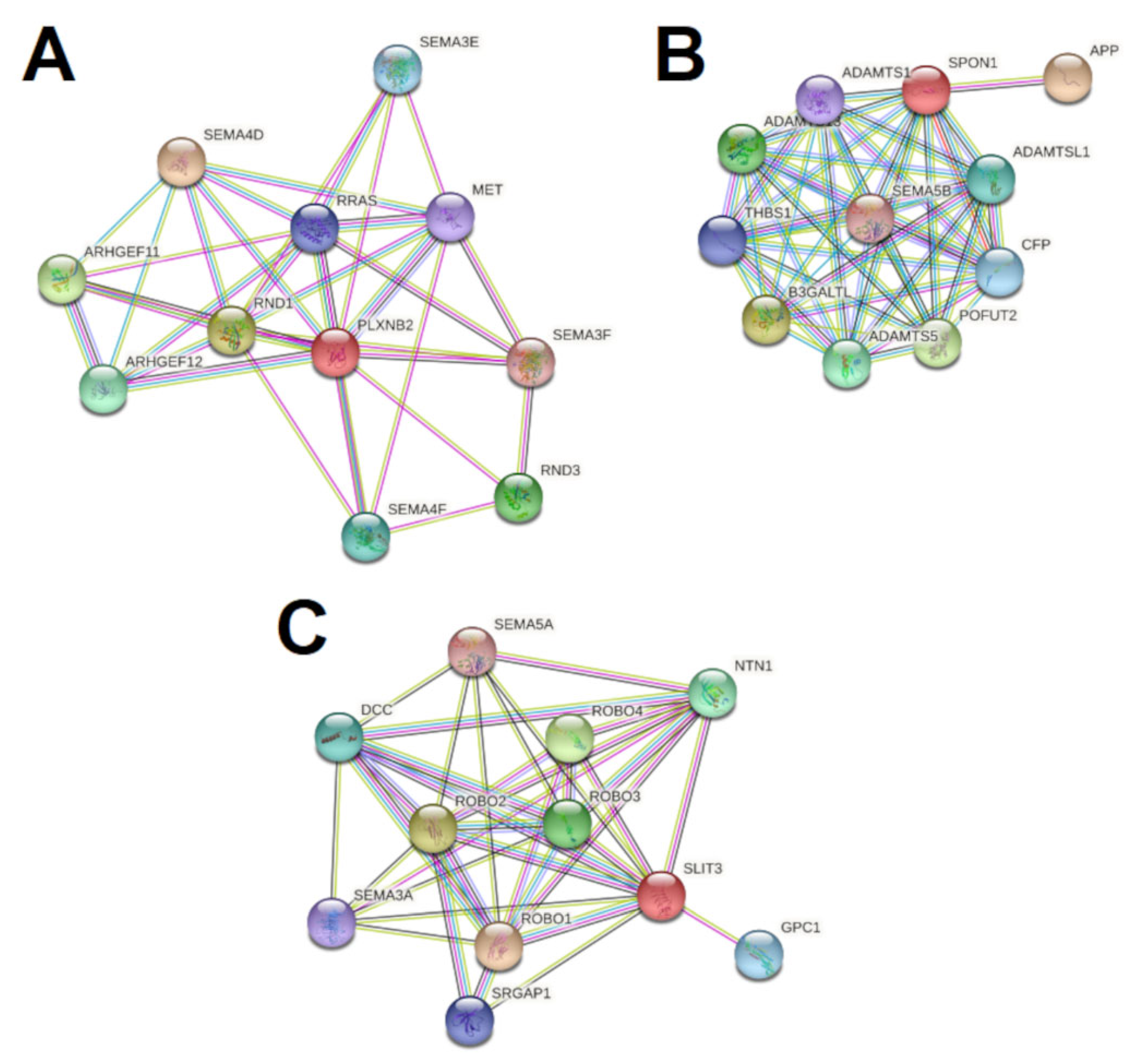 Neuroglia 04 00006 g005