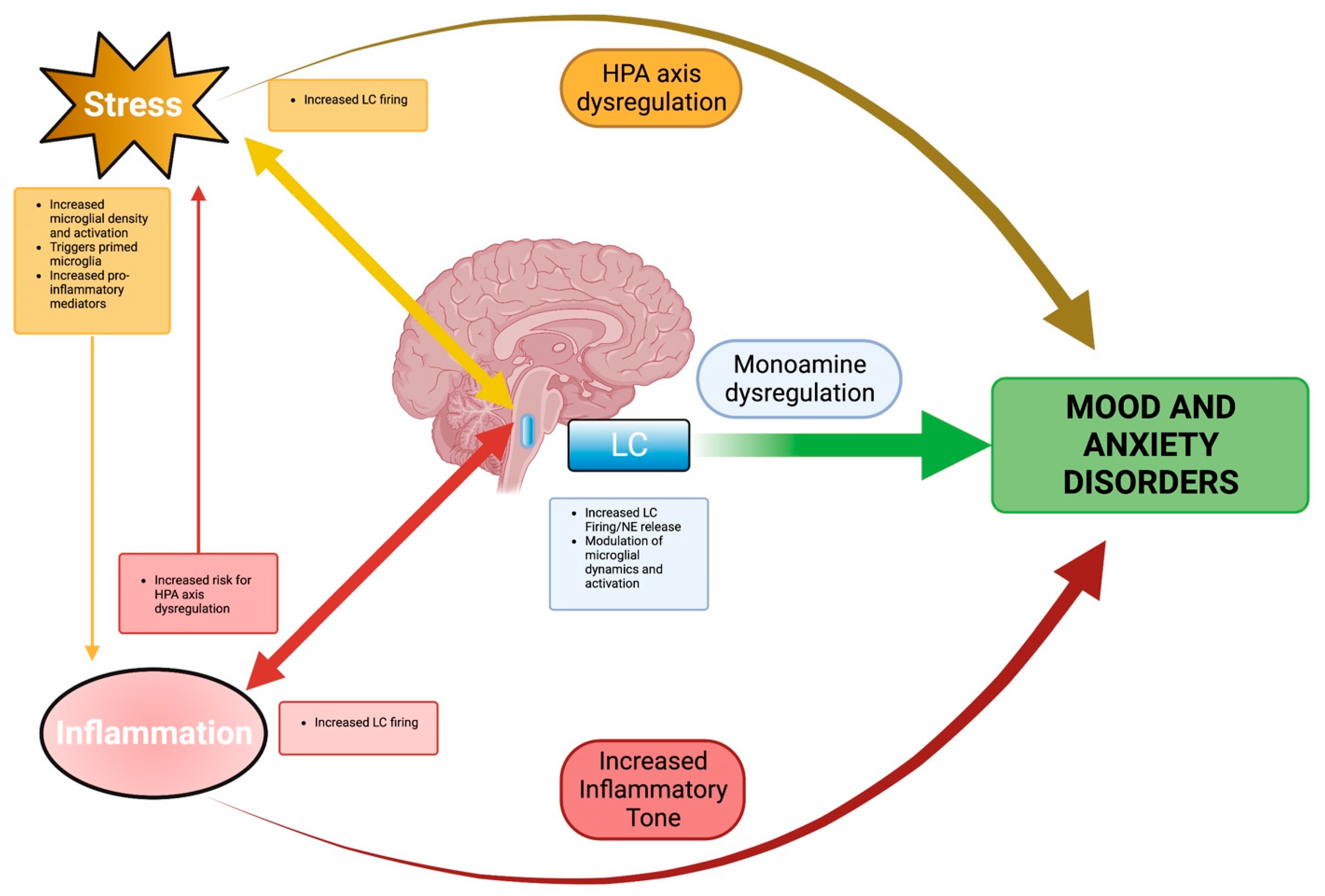 Do you know the counterintuitive effects of overlapping activities in a  project?