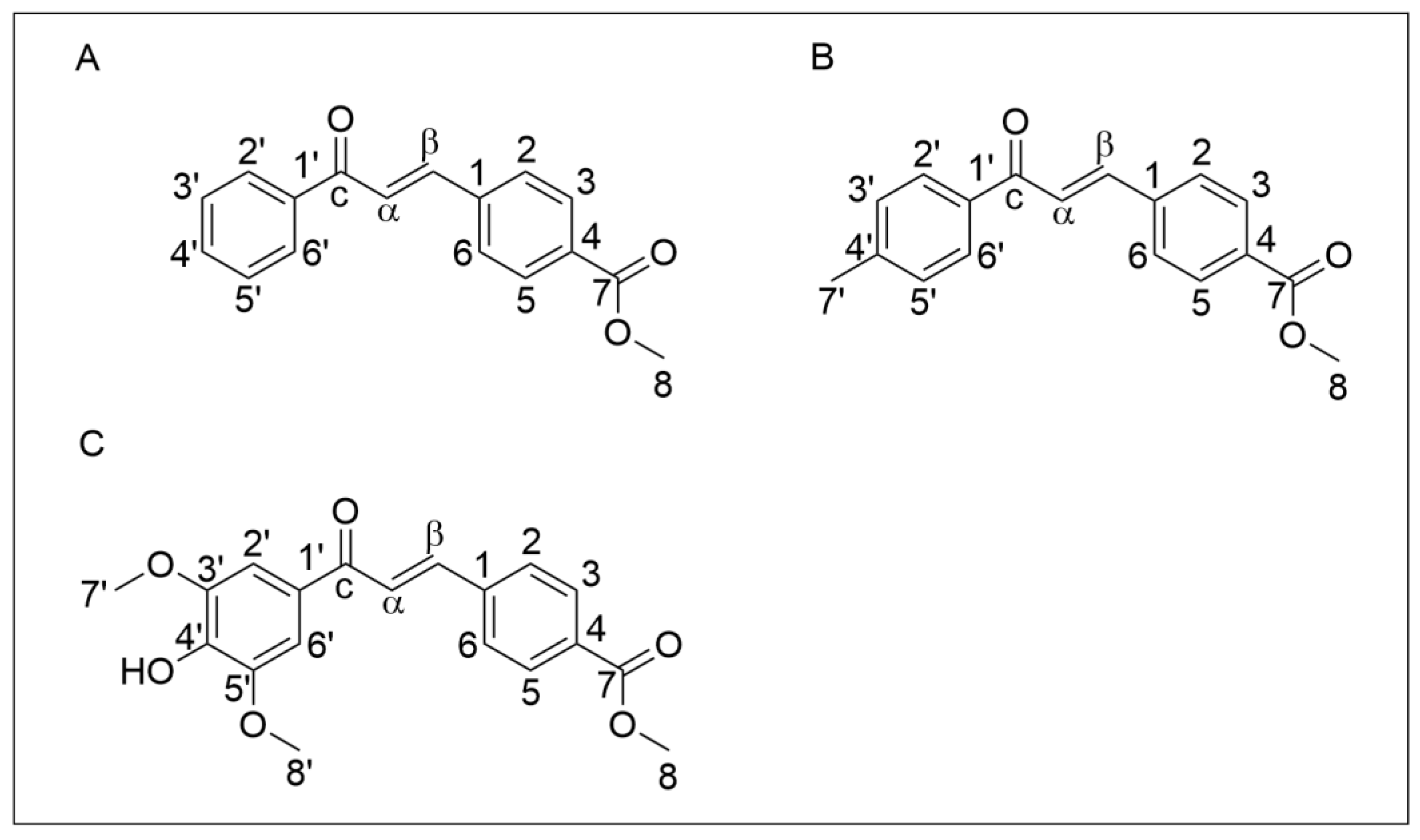 専用６ Q1VA, a Synthetic Chalcone, Induces Apoptosis and Decreases