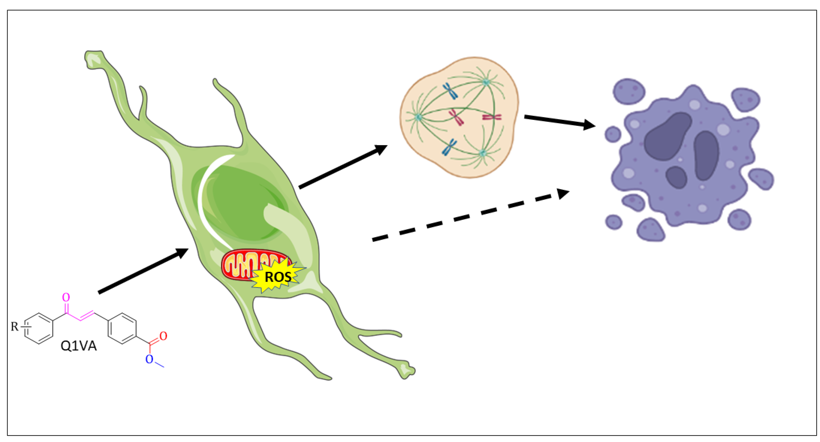Neuroglia 04 00008 g008
