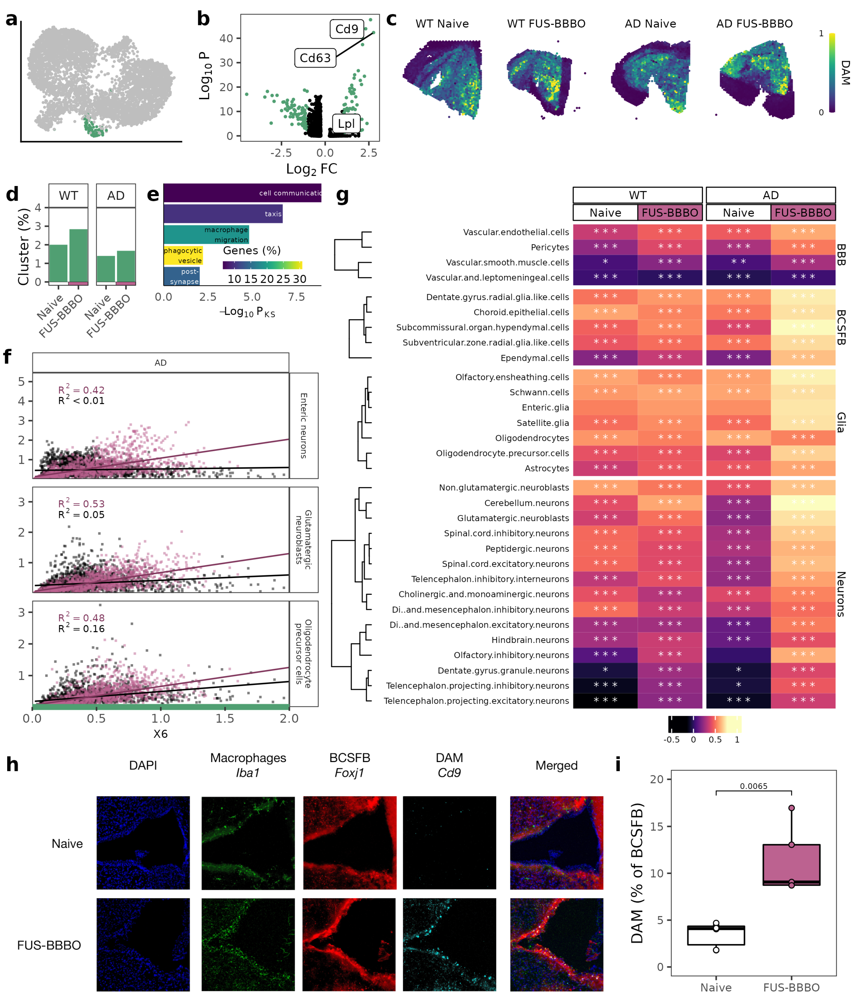 Neuroglia 04 00010 g003 Neuroglia 04 00010 g003