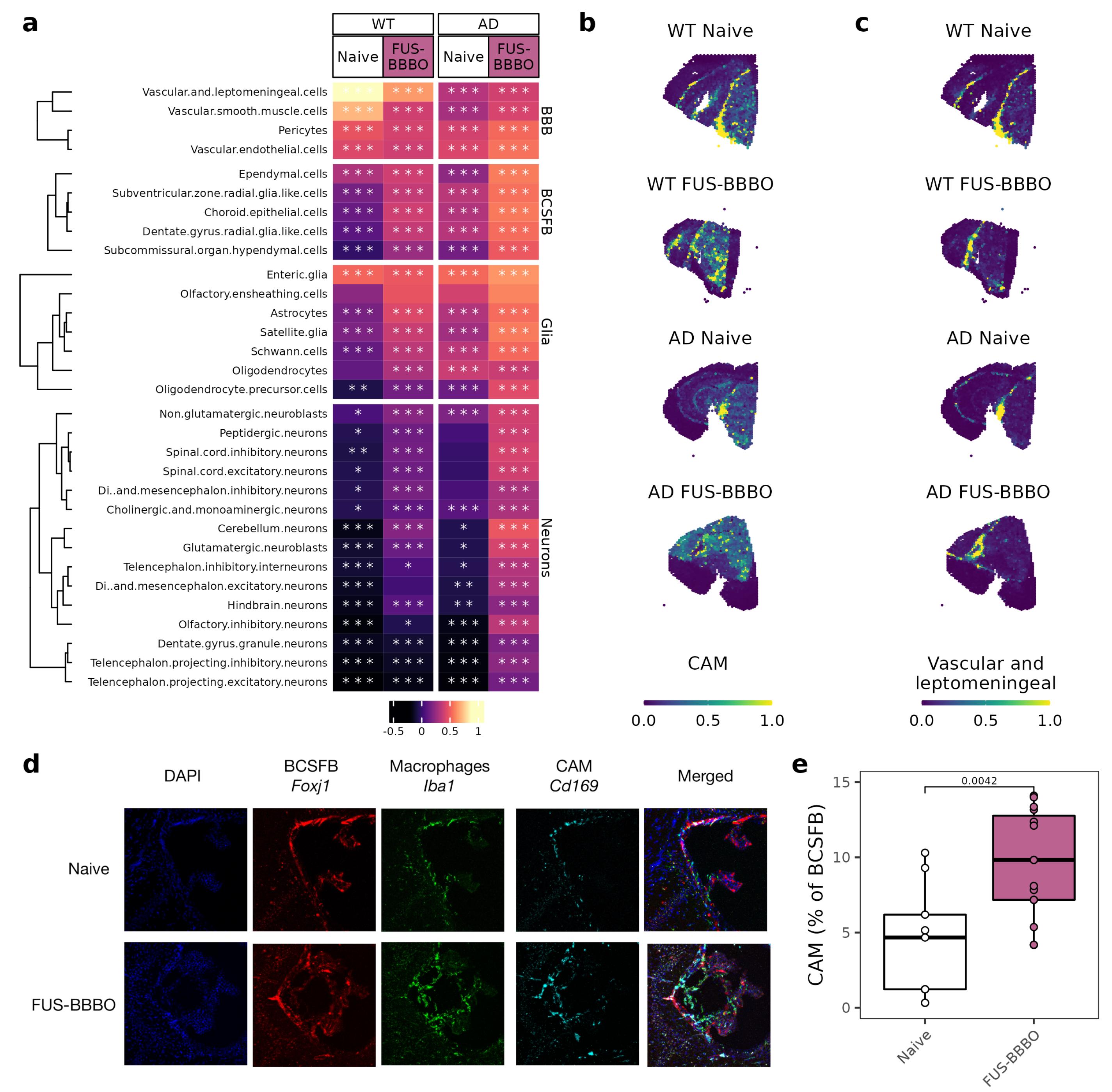 Neuroglia 04 00010 g005 Neuroglia 04 00010 g005