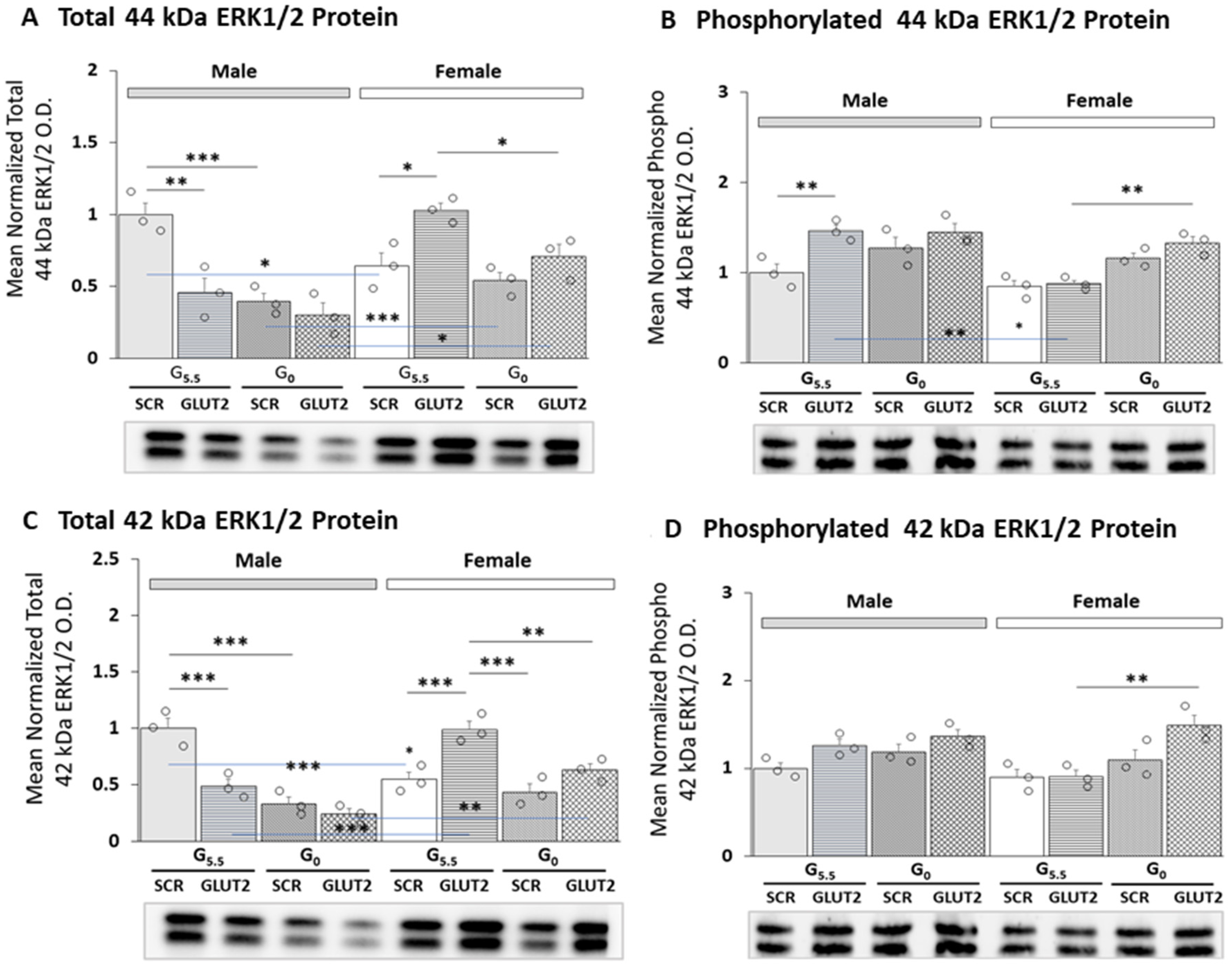 Neuroglia 04 00011 g001