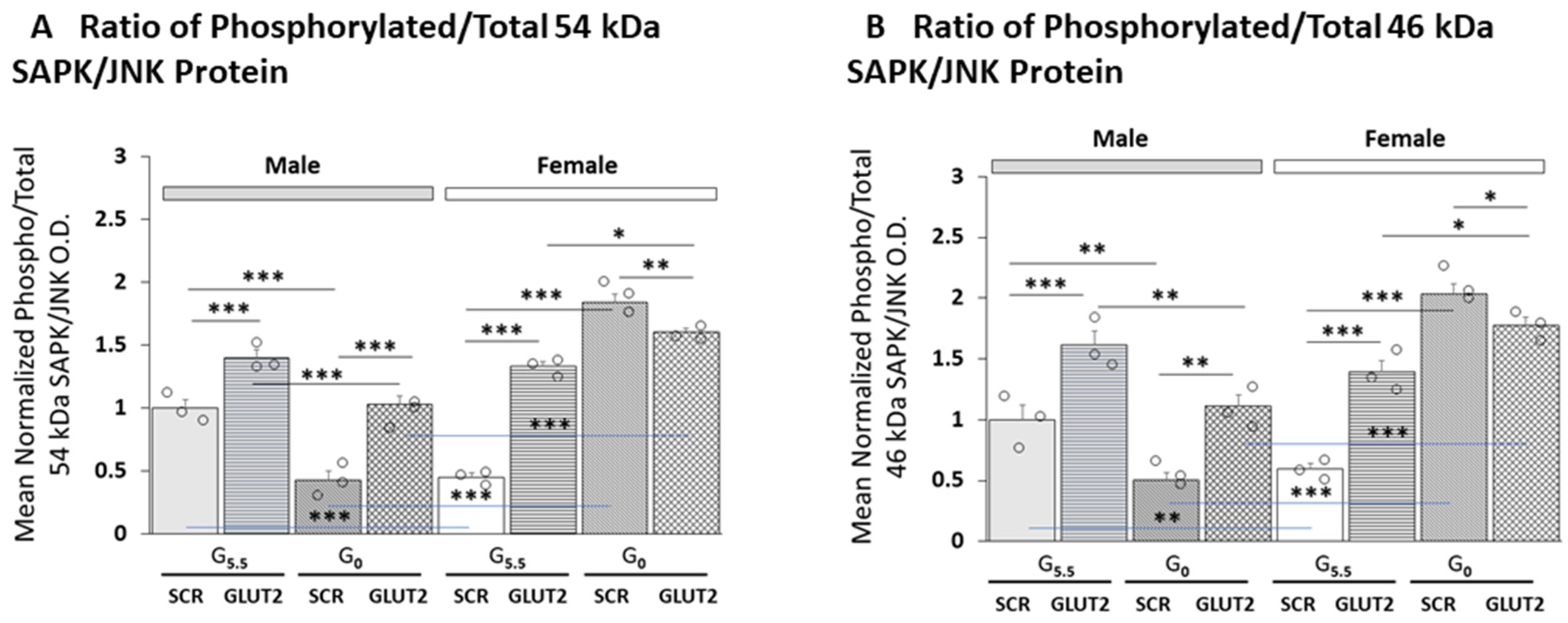 Neuroglia 04 00011 g005