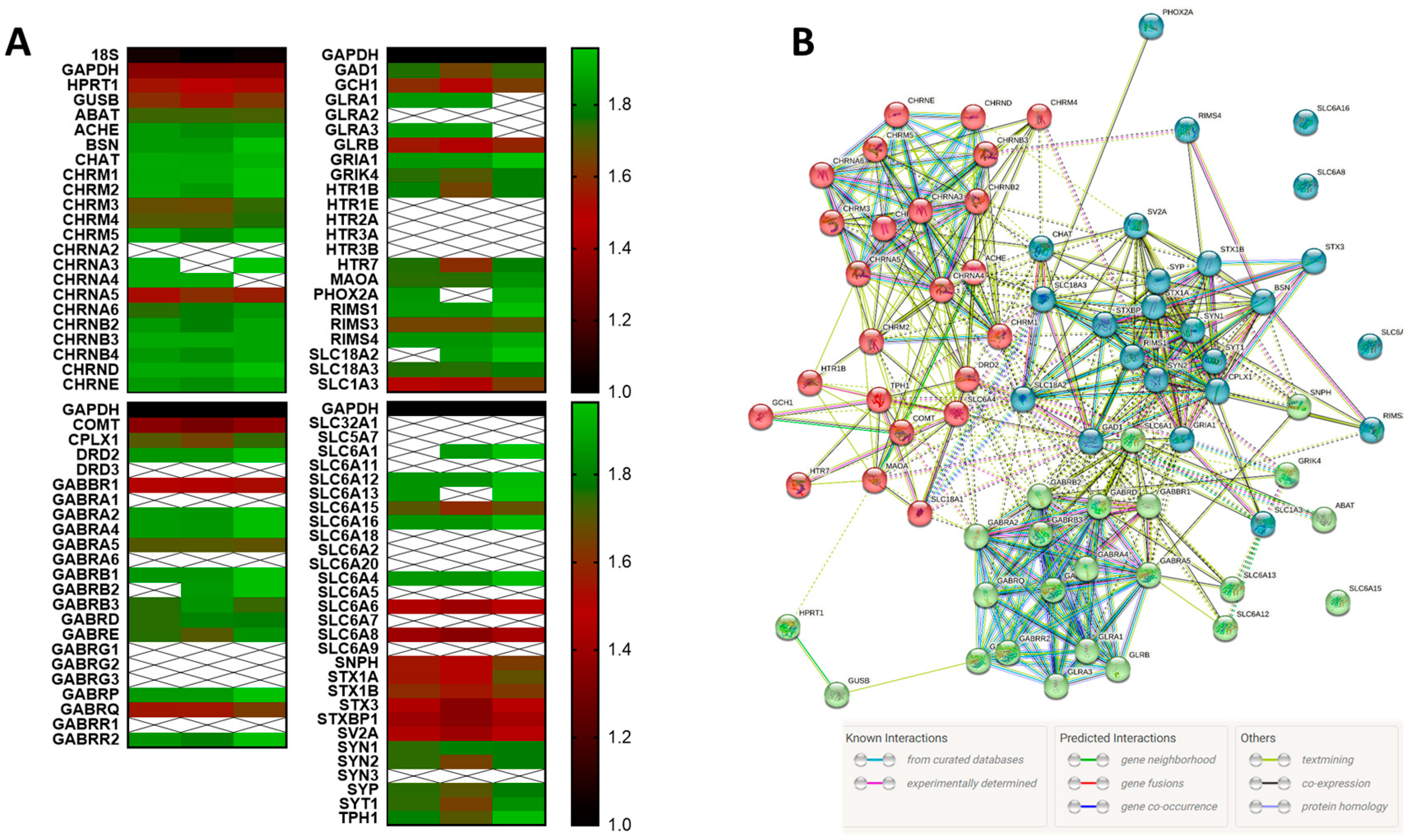 Neuroglia 04 00012 g001 Neuroglia 04 00012 g001