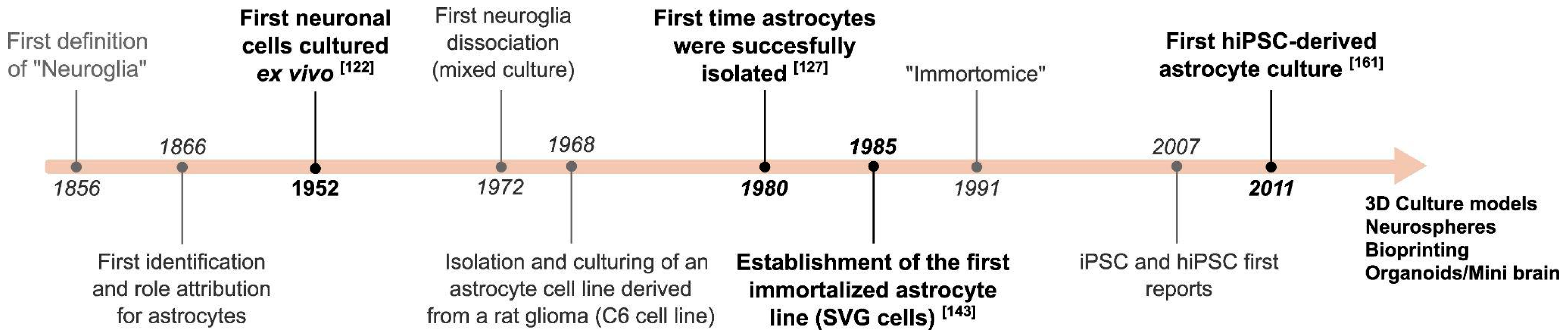 Neuroglia 05 00003 g001
