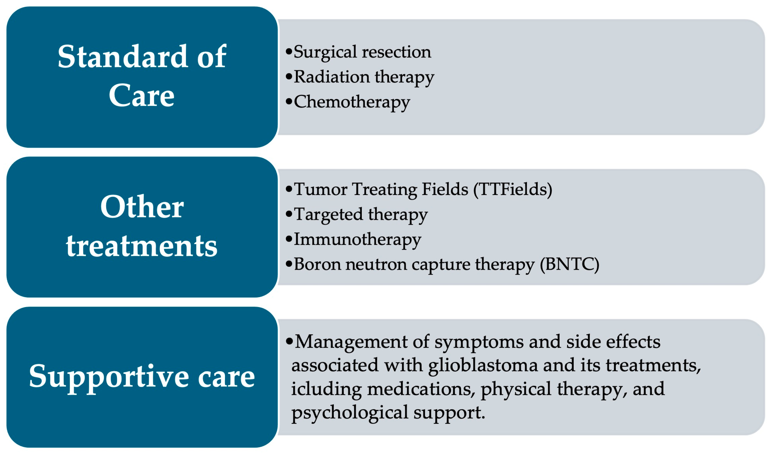 Neuroglia 05 00005 g014