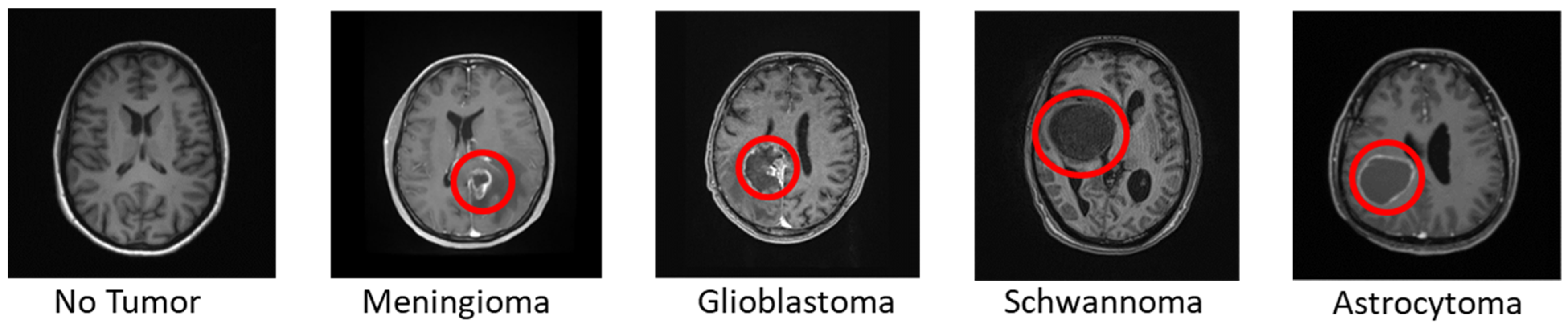 Neuroglia 05 00008 g002