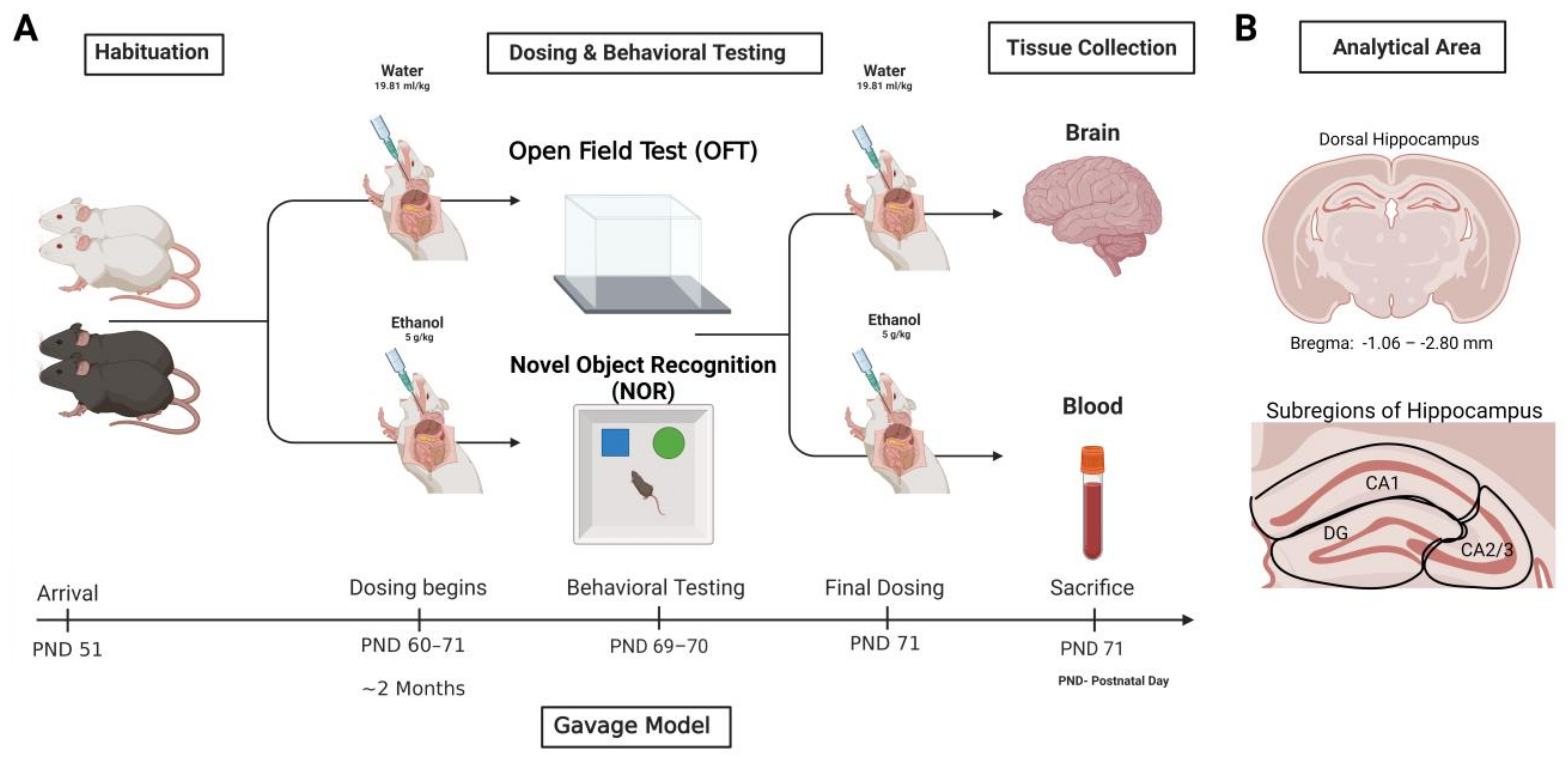 Neuroglia 05 00020 g001