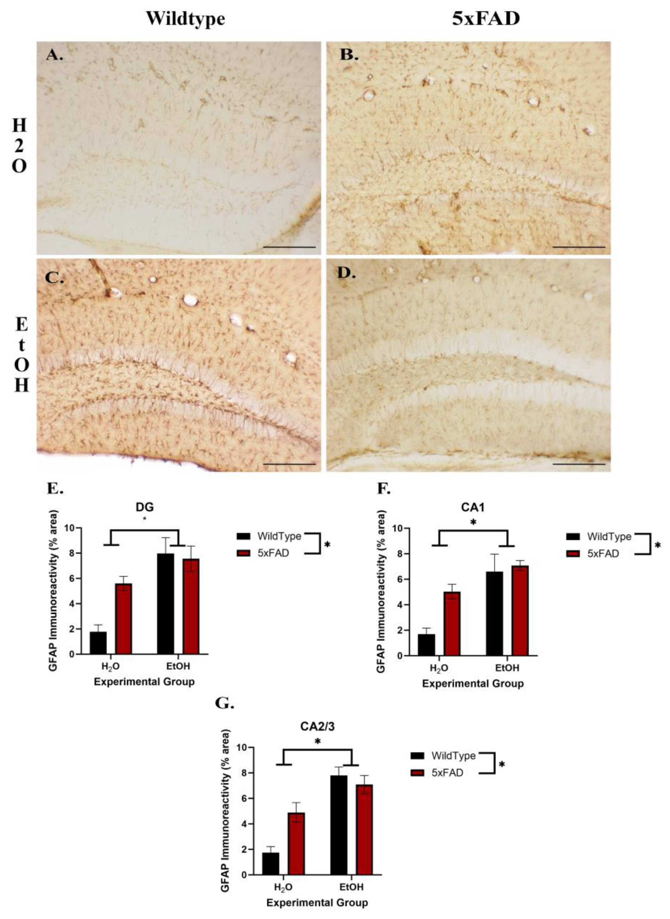 Neuroglia 05 00020 g002