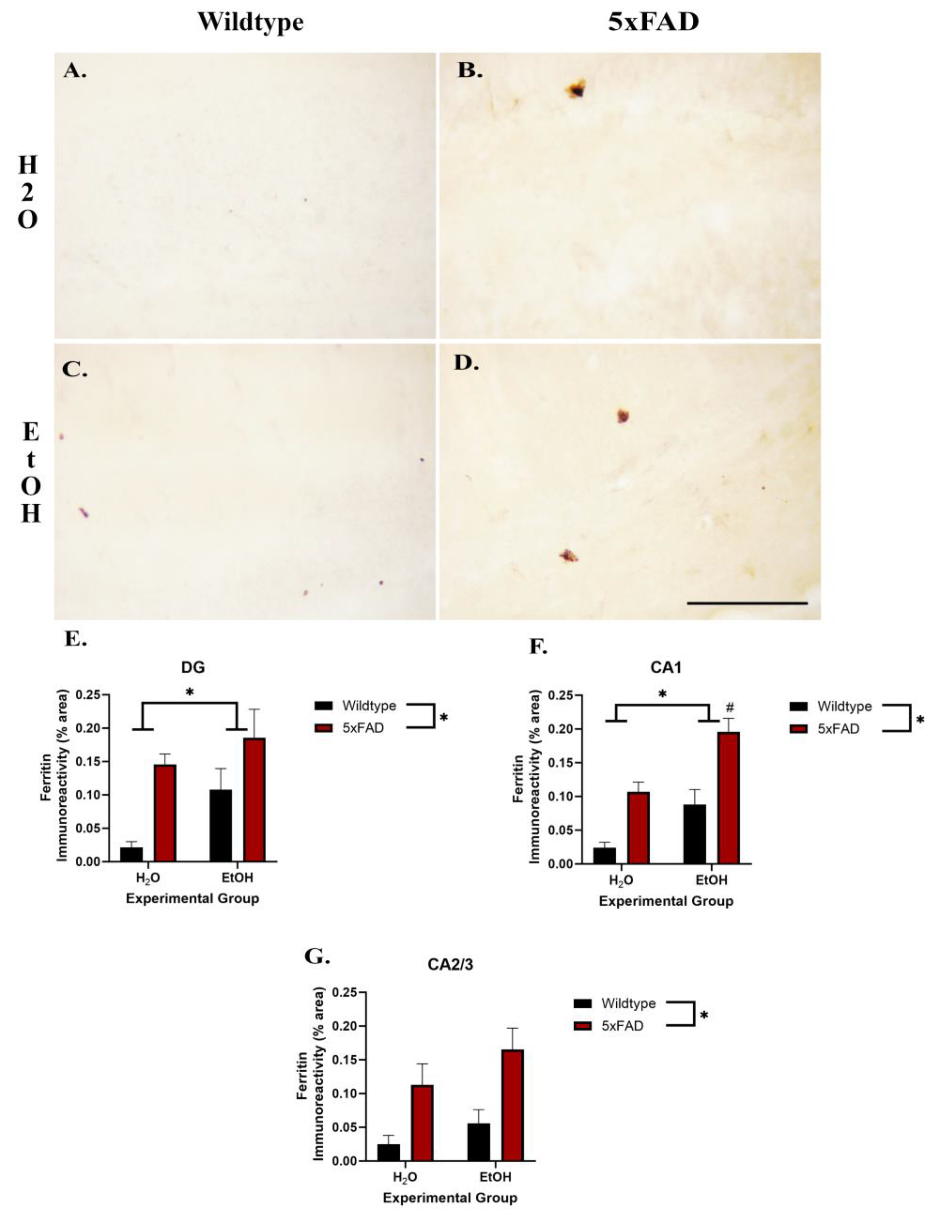 Neuroglia 05 00020 g003