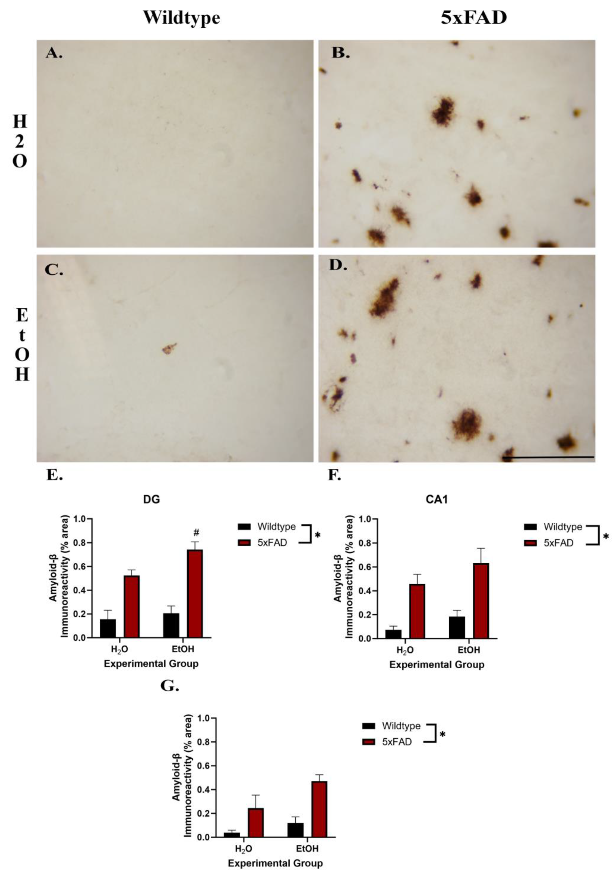 Neuroglia 05 00020 g004