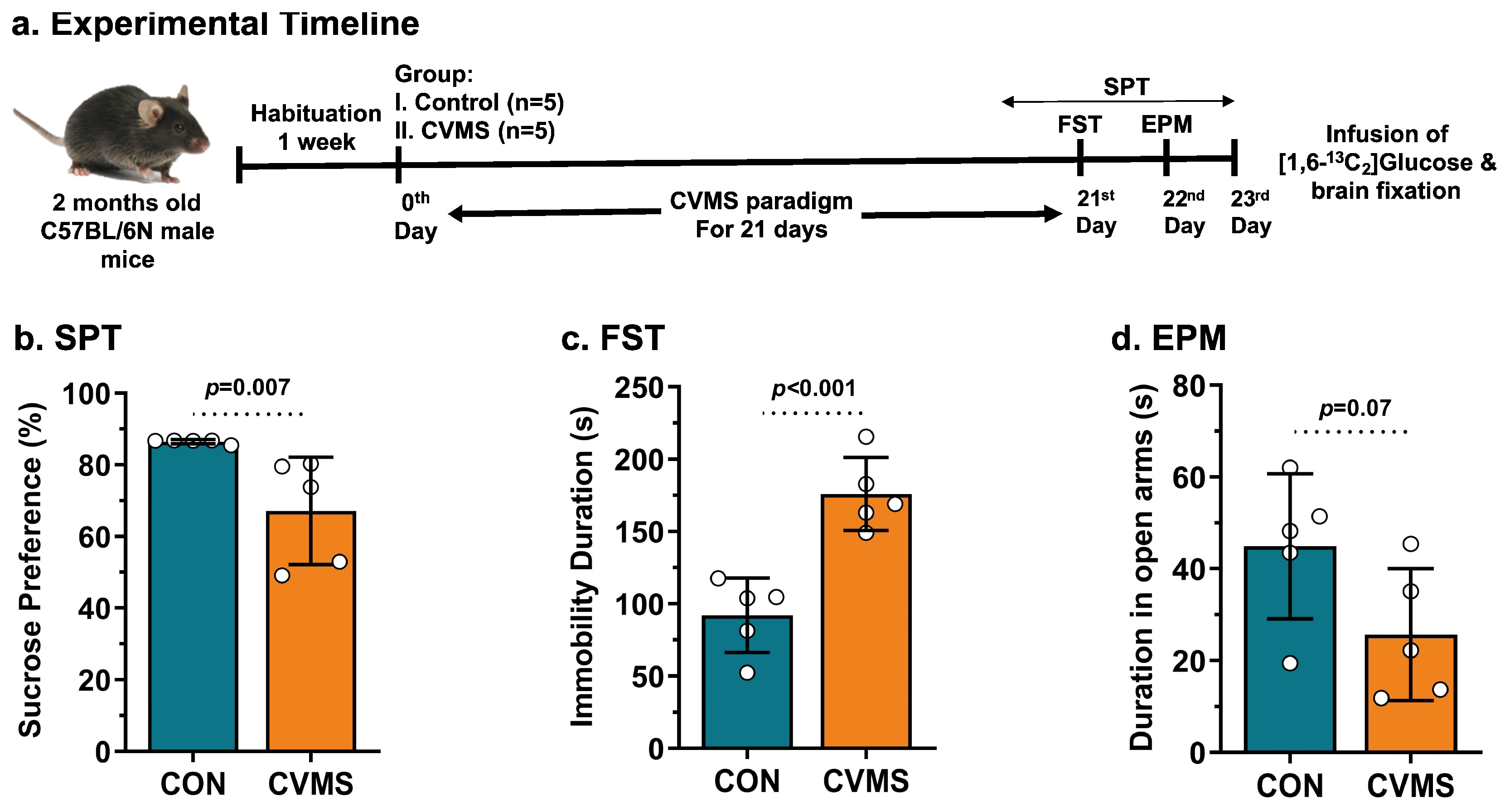Neuroglia 05 00021 g001