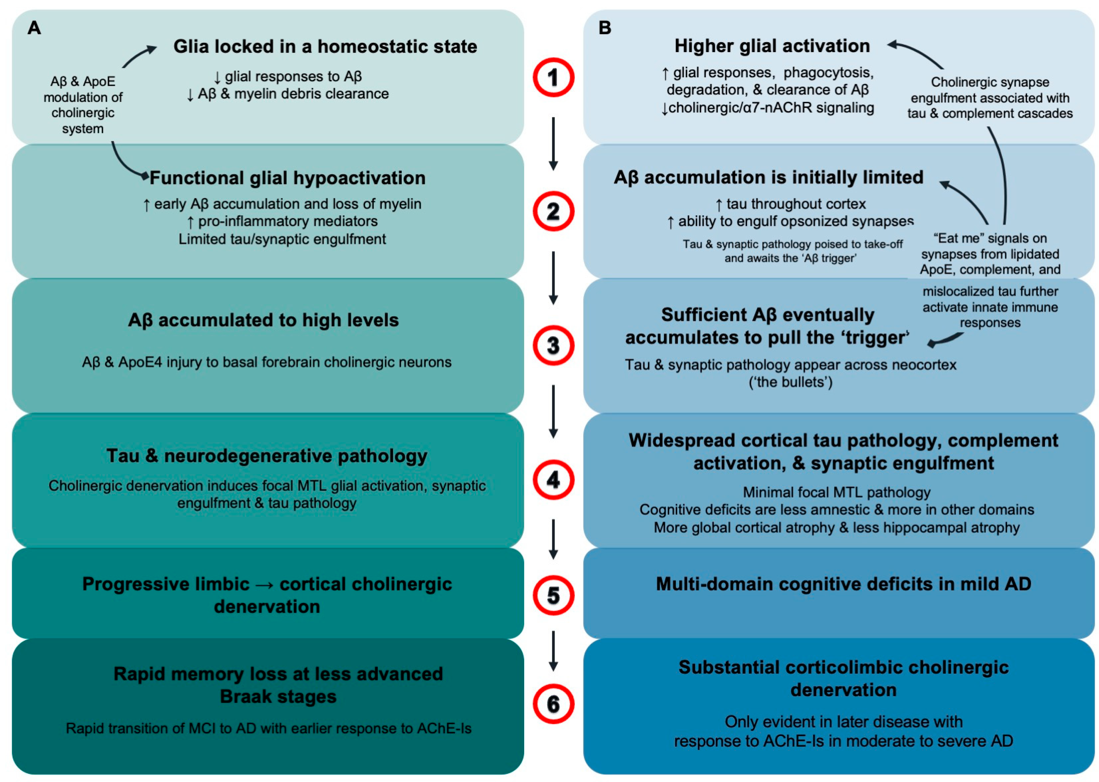 Neuroglia 05 00022 g007