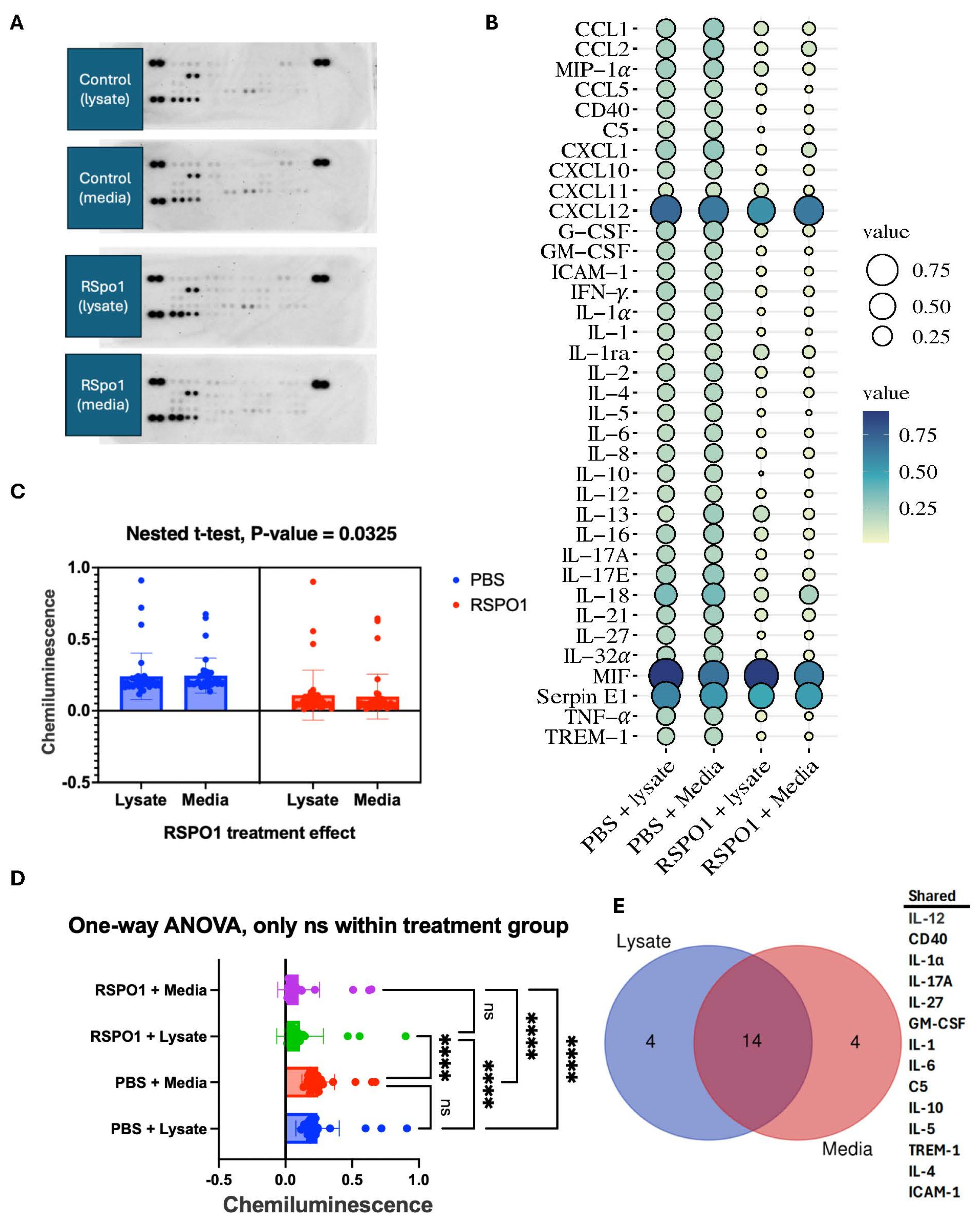 Neuroglia 05 00028 g001
