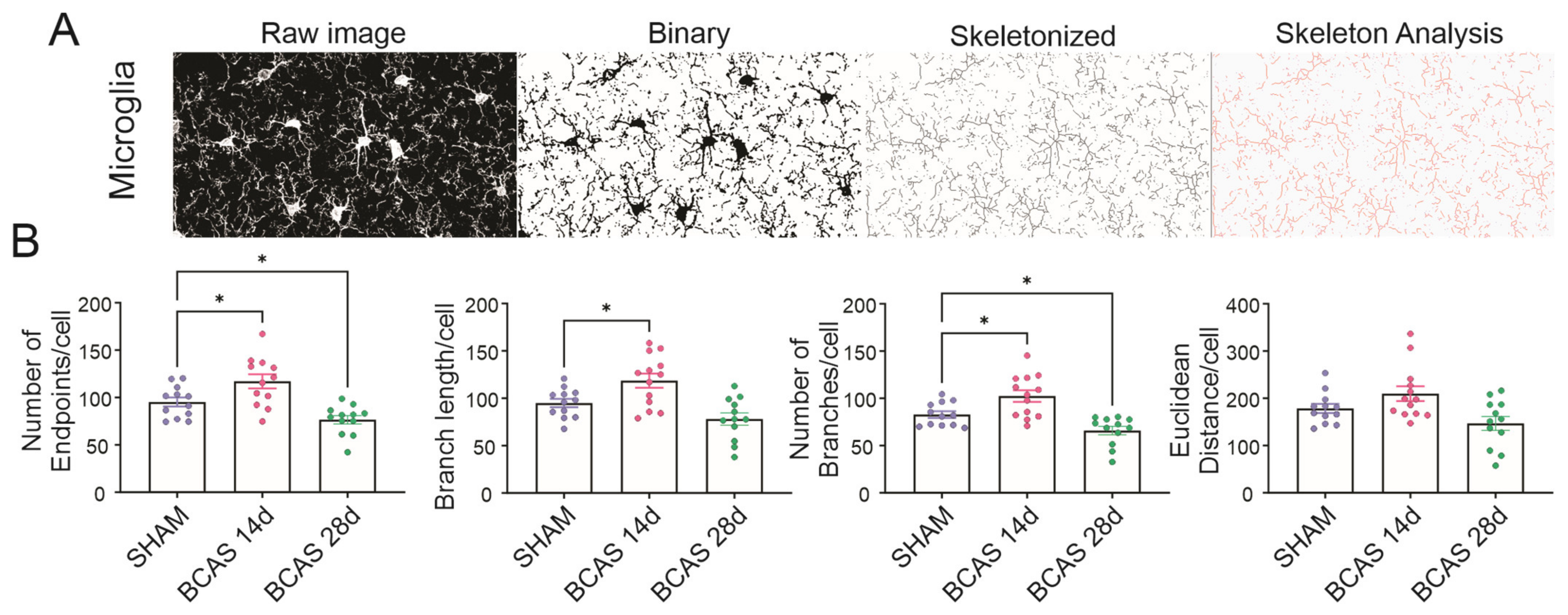 Neuroglia 05 00032 g007