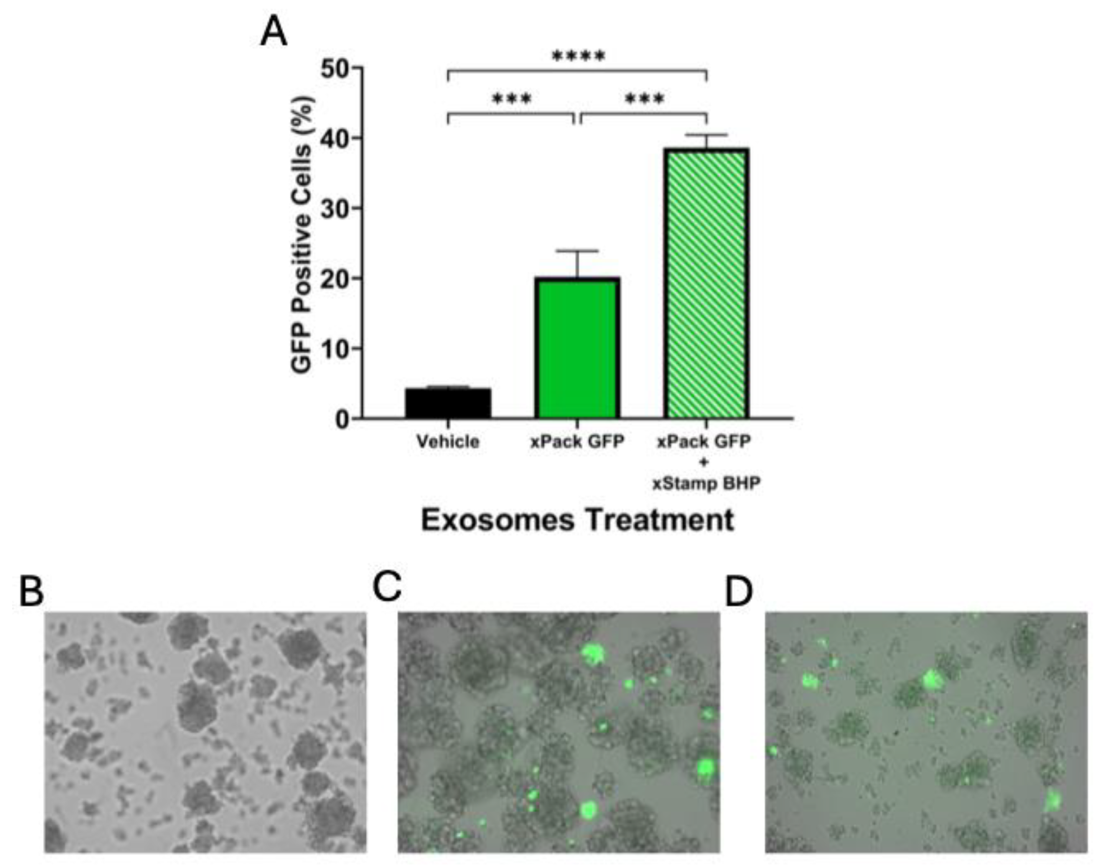Neuroglia 06 00003 g004