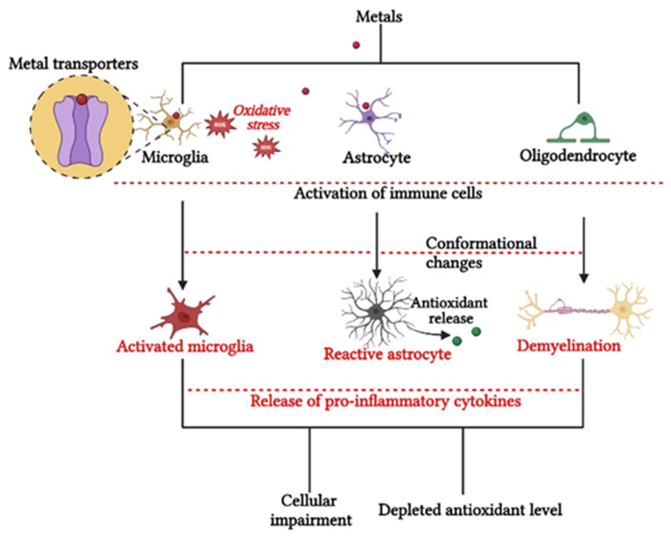 Neuroglia 06 00004 g003