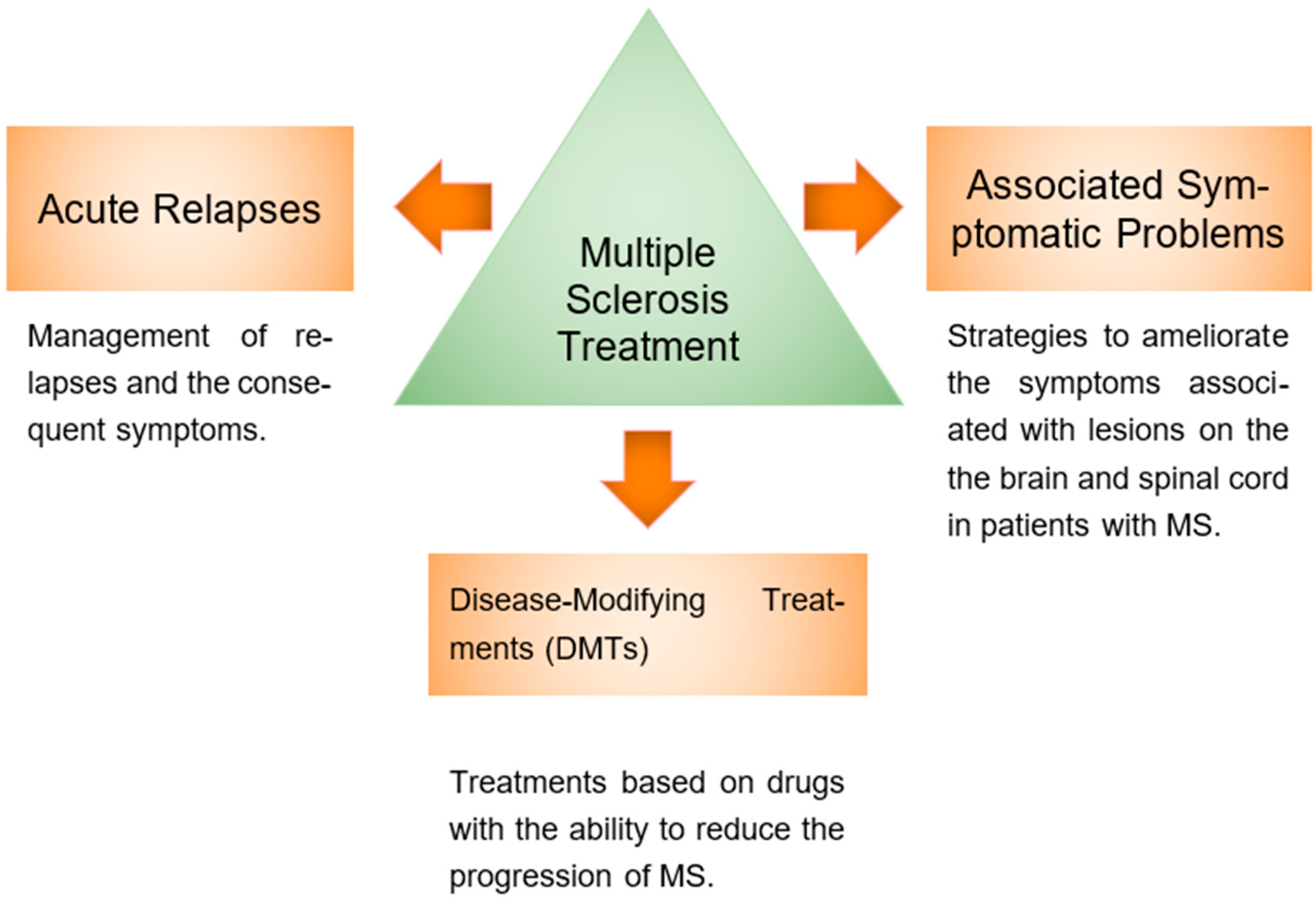 Neuroglia 06 00006 g001