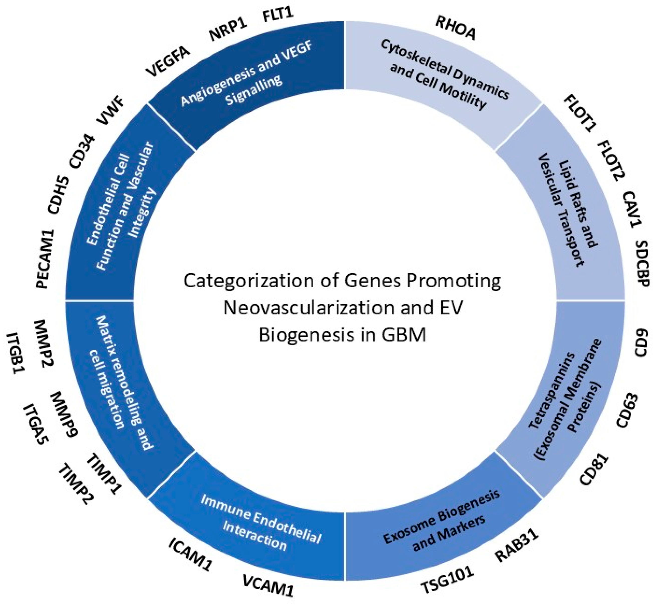 Neuroglia 06 00008 g002