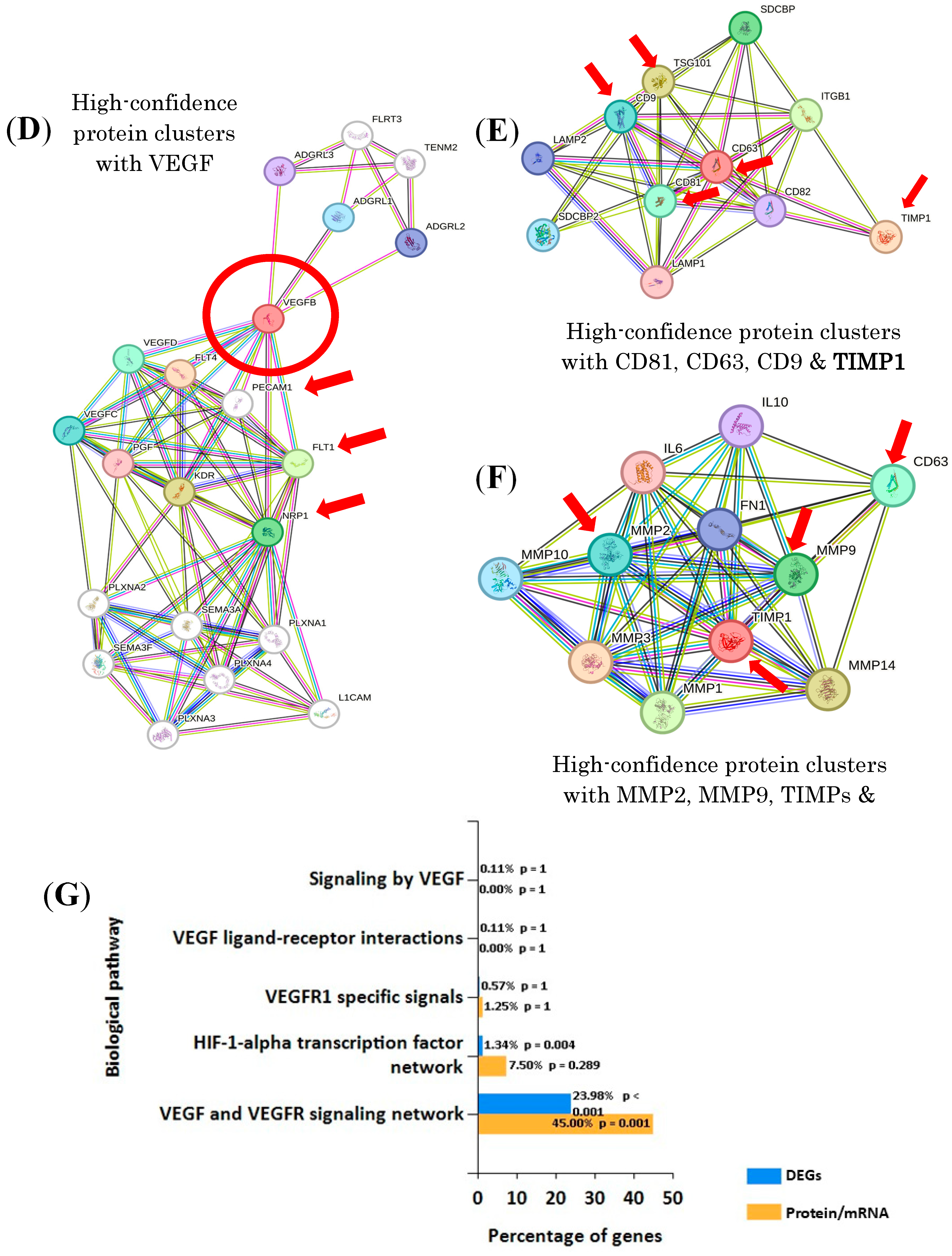 Neuroglia 06 00008 g003b