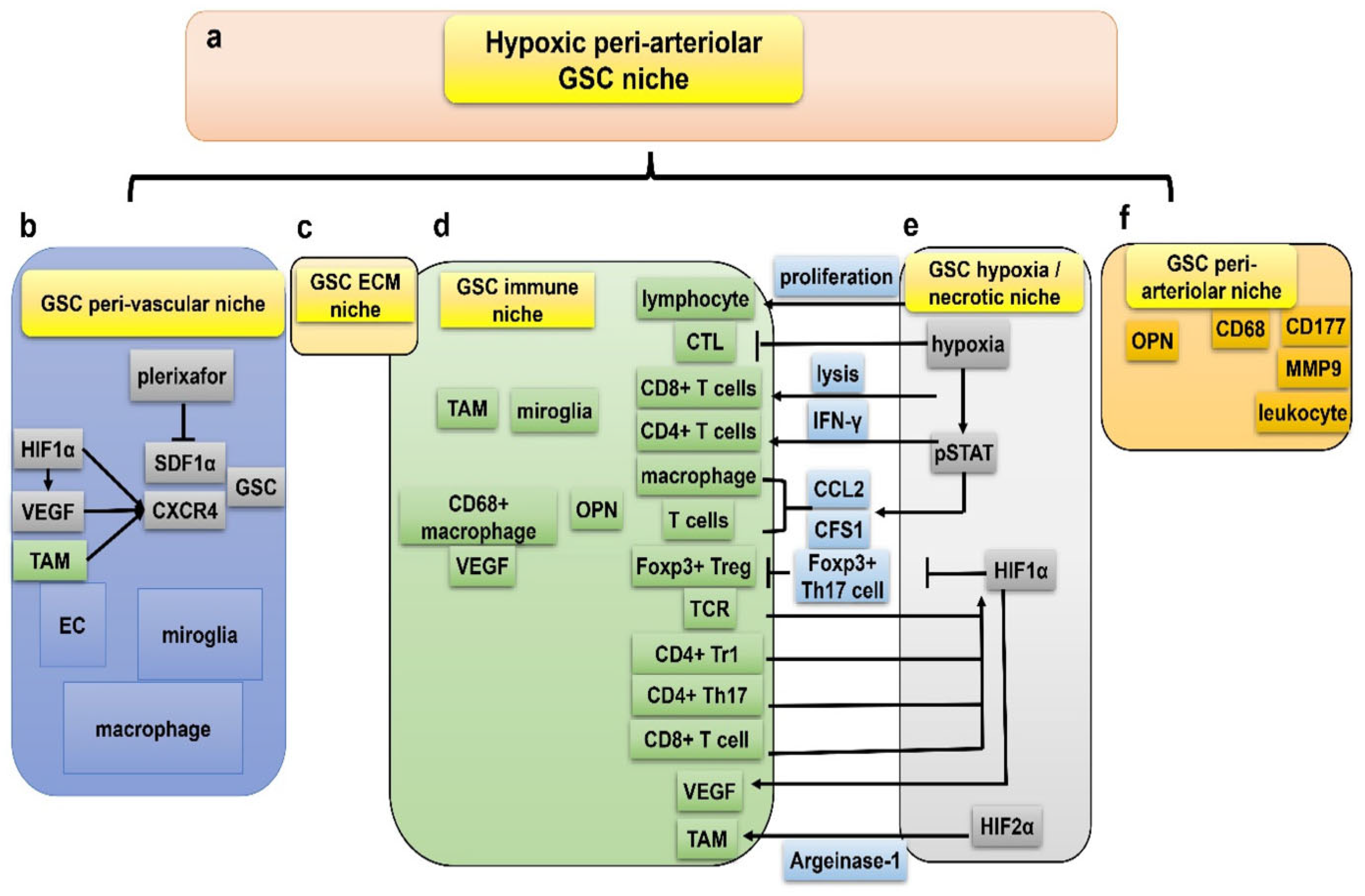 Neuroglia 06 00013 g002